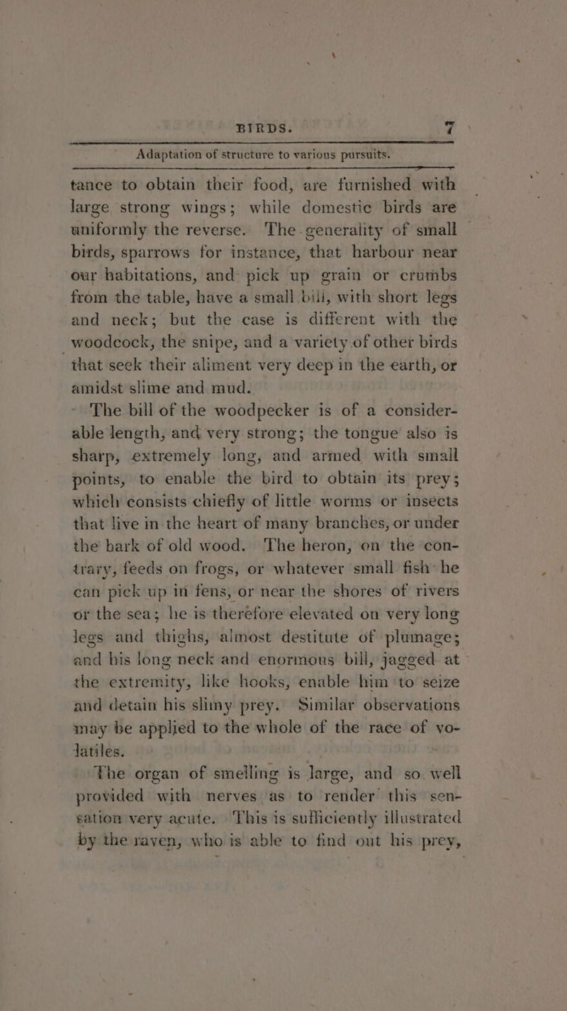 Adaptation of structure to various pursuits. tance to obtain their food, are furnished with large strong wings; while domestic birds are uniformly the reverse. The-generality of small birds, sparrows for instance, that harbour near our habitations, and pick up grain or crumbs from the table, have a small bili, with short legs and neck; but the case is different with the _woodcock, the snipe, and a variety of other birds that seek their aliment very deep in the earth, or amidst slime and mud. The bill of the woodpecker is of a consider- able length, and very strong; the tongue also is sharp, extremely long, and armed with small points, to enable the bird to obtain its prey; which consists chiefly of little worms or insects that live in the heart of many branches, or under the bark of old wood. The heron, en the con- trary, feeds on frogs, or whatever small fish he can pick up in fens, or near the shores of rivers or the sea; he is therefore elevated on very long legs and thighs, almost destitute of plumage; and his long neck and enormous bill, jagged at — the extremity, like hooks, enable him ‘to seize and detain his slimy prey. Similar observations may be applied to the whole of the race of yo- datiles. | ‘The organ of smelling is large, and so. well provided with nerves as to render this sen- sation very acute. This is sufficiently illustrated by the raven, who is able to find out his prey,