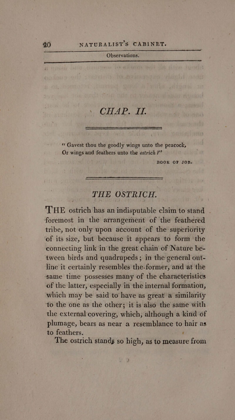 a a rae amend Observations. daaaar ae eee mR STi ES a aa a REE STE a -\ CHAP. I. ‘« Gavest thou the goodly wings unto the peacock, Or wings and feathers unto the ostrich 2” BOOK OF JOB. THE OSTRICH. THE ostrich has an indisputable claim to stand - foremost in the arrangement of the feathered tribe, not only upon account of the superiority of its size, but because it appears to form the connecting link in the great chain of Nature be- tween birds and quadrupeds ; in the general out- line it certainly resembles the.former, and at the same time possesses many of the characteristics of the latter, especially in the internal formation, which may be said to have as great’ a similarity to the one as the other; it is also the same with the external covering, which, although a kind of plumage, bears as near a resemblance to hair as to feathers. j The ostrich stands so high, as to measure from