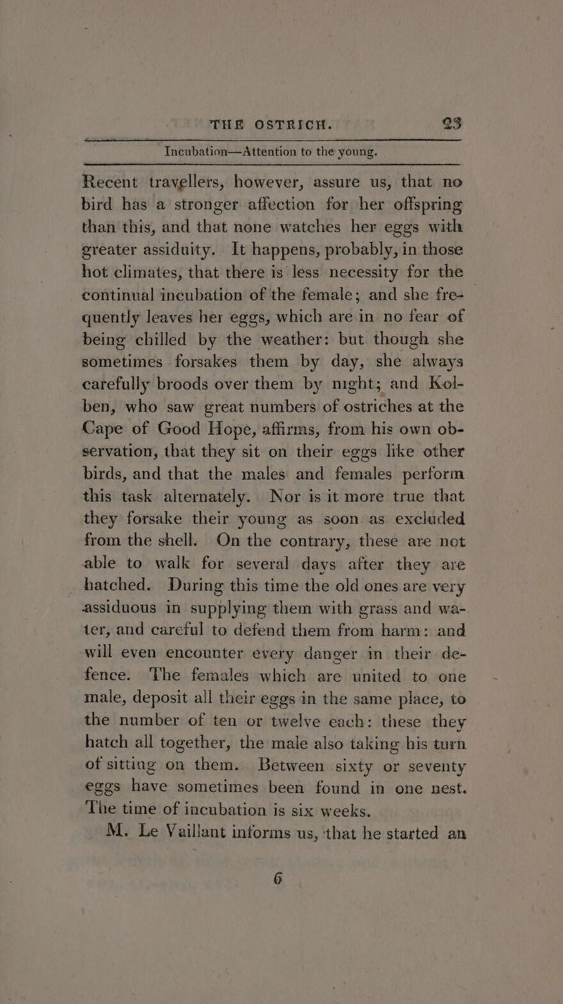 Incubation—Attention to the young. Recent travellers, however, assure us, that no bird has a stronger affection for her offspring than this, and that none watches her eggs with greater assiduity. It happens, probably, in those hot climates, that there is less necessity for the continual incubation of the female; and she fre- quently leaves her eggs, which are in no fear of being chilled by the weather: but though she sometimes forsakes them by day, she always carefully broods over them by night; and Kol- ben, who saw great numbers of tilt aie at the Cape of Good Hope, affirms, from his own ob- servation, that they sit on their eggs like other birds, and that the males and females perform this task alternately. Nor is it more true that they forsake their young as soon as excluded from the shell. On the contrary, these are not able to walk for several days after they are hatched. During this time the old ones are very assiduous in supplying them with grass and wa- ter, and careful to defend them from harm: and will even encounter every danger in their de- fence. The females which are united to one male, deposit all their eggs in the same place, to the number of ten or twelve each: these they hatch all together, the male also taking his turn of sitting on them. Between sixty or seventy eggs have sometimes been found in one nest. The time of incubation is six weeks. M. Le Vaillant informs us, ‘that he started an 6