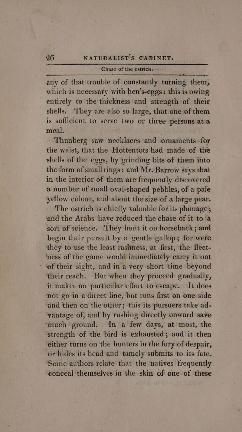 Chase of the ostrich... any of that trouble of constantly turnmg them, which is necessary with hen’s-eggs: this is owing entirely to the thickness and strength of their shells. ‘They are also so large, that one of them is sufficient ‘to serve two or three persons ata meal. Thunberg saw necklaces and ornaments -for the waist, that the Hottentots had made of the shells of the eggs, by grinding bits of them into the form of small rings: and Mr. Barrow says that in the interior of them are frequently discovered a number of small oval-shaped pebbles, of a pale yellow colour, and about the size of a large pear. The ostrich is chiefly valuable for its plamage; and the Arabs have reduced the chase of it to a sort of science. They hunt it on horseback ; and begin their pursuit by a gentle gallop; for were they to use the least rashness, at first, the: fleet- ‘ness of the game would immediately carry it out ’ ‘of their sight, and in a very short time beyond their reach. But when they proceed: gradually, it makes no particular effort to escape. It does not go in a direct line, but runs first on one side ‘and then on the other; this its pursuers take ad- ‘vantage of, and by rushing directly onward save ‘much’ ground. In a few days, at most, the ‘strength of the bird is exhausted; and it then either turns on the hunters in the fury of despair, or hides its head and tamely submits to its fate. Some authors relate that the natives frequently ‘conceal themselves in the skin of one of these