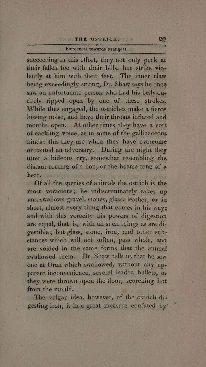 Fierceness towards strangers. succeeding in this effort, they not only peck at their fallen foe with their bills, but strike vio- lently at him with their feet. The inner claw being exceedingly strong, Dr. Shaw says he once saw an unfortunate person who had his belly en- tirely ripped open by one, of these strokes, While thus engaged, the ostriches make a fierce hissing noise, and haye their throats inflated and mouths open. At other times they have a sort of cackling voice, as in some of the gallinaceous kinds: this they use when they have overcome .or routed an adyersary. During the night they utter a hideous cry, somewhat resembling the distant roaring of a lion, or the hoarse tone of a bear. Of all the. species of animals the ostrich is the most voracious; he indiscriminately takes up and swallows gravel, stones, glass, leather, or in short, almost every thing that comes in his way; and with this voracity his powers of digestion are equal, that is, with all such things as are di- gestible; but glass, stone, iron, and other sub- stances which will not soften, pass whole, and are voided in the same forms. that the animal swallowed them. Dr. Shaw tells us that he saw one at Oran which swallowed, without any ap- parent inconvenience, several leaden bullets, as they were thrown upon the floor, scorching hot from the mould. | The vulgar idea, however, oft ake ostrich di- gesting iron, is ina great measure confuted by
