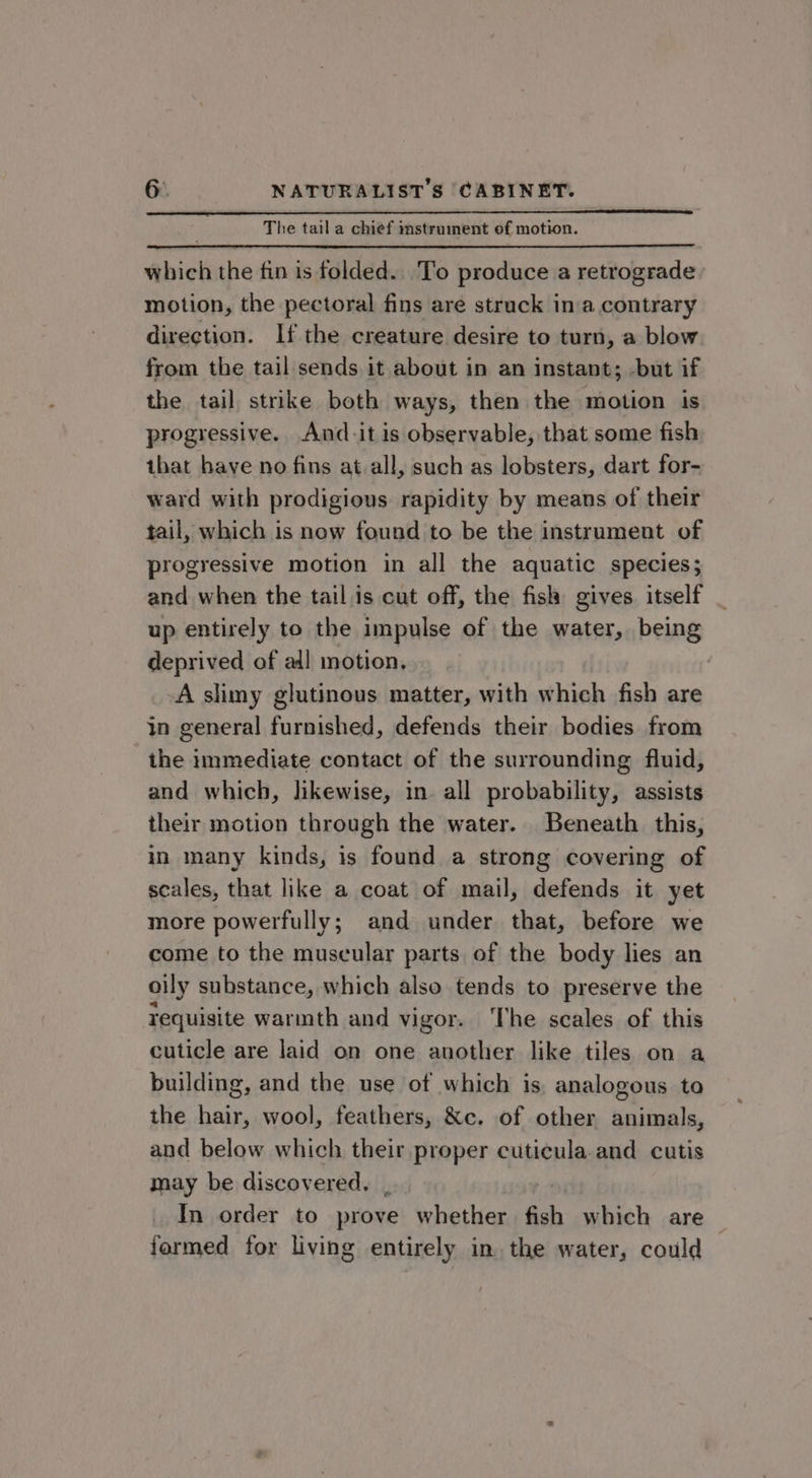 The tail a chief instrument of motion. which the fin is folded. To produce a retrograde motion, the pectoral fins are struck ina contrary direction. If the creature desire to turn, a blow from the tail sends it about in an instant; but if the tail strike both ways, then the motion is progressive. And-it is observable, that some fish that have no fins at.all, such as lobsters, dart for- ward with prodigious rapidity by means of their tail, which is now found to be the instrument of progressive motion in all the aquatic species; and when the tail.is cut off, the fish gives itself up entirely to the impulse of the water, being deprived of all motion, A slimy glutinous matter, with which fish are in general furnished, defends their bodies from the immediate contact of the surrounding fluid, and which, likewise, in all probability, assists their motion through the water. Beneath this, in many kinds, is found a strong covering of scales, that like a coat of mail, defends it yet more powerfully; and under that, before we come to the muscular parts of the body lies an oily substance, which also tends to preserve the Tequisite warmth and vigor. The scales of this cuticle are laid on one another like tiles on a building, and the use of which is, analogous to the hair, wool, feathers, &amp;c. of other animals, and below which their proper cuticula.and cutis may be discovered. In order to prove whether fish which are formed for living entirely in. the water, could