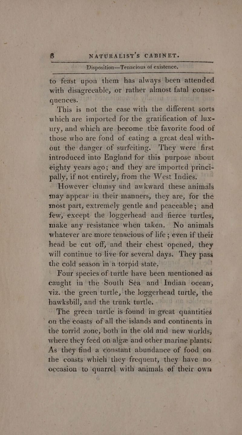Disposition—Tenacious of existence. to fedst upon them has always been attended with disagreeable, or rather almost fatal conse- quences. . This is not the case with the different sorts which are imported for the gratification of lux- ury, and which are. become the favorite food of those who are fond of eating a great deal with- out the danger of surfeiting. They were first introduced into England for this purpose about eighty years ago; and they are imported princi- pally, if not entirely, from the West Indies. However clumsy and awkward these animals may appear in their manners, they are, for the most part, extremely gentle and peaceable; and few, except the loggerhead and fierce turtles, make any resistance when taken. No animals whatever are more tenacious of life ; even if their head be cut off, and their chest opened, they will continue to live for several days. a4 pass the cold season in a torpid state, Four species of turtle have been mentioned as caught in the South Sea and Indian ocean, viz. the green turtle, the loggerhead turtle, the hawksbill, and the trunk turtle. &gt; . The green turtle is found in great quantities ‘on the coasts of all the islands and continents in the torrid zone, both in the old and new worlds, where they feed on alge and other marine plants. As they find a constant abundance of food on the coasts: which they frequent, they have no eecasion to quarrel with animals ef their own