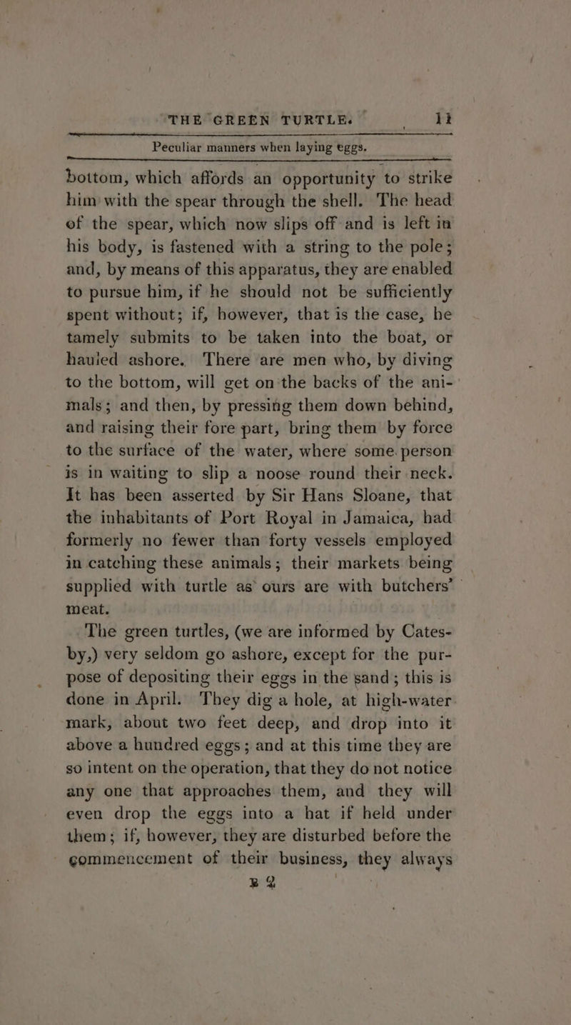 THE GREEN TURTLE. — Meds. x. ~ Peculiar manners when laying eggs. bottom, which affords an opportunity to strike him with the spear through the shell. The head ef the spear, which now slips off and is left in his body, is fastened with a string to the pole; and, by means of this apparatus, they are enabled to pursue him, if he should not be sufficiently spent without; if, however, that is the case, he tamely submits to be taken into the boat, or hauied ashore. There are men who, by diving to the bottom, will get on'the backs of the ani- mals; and then, by pressing them down behind, and raising their fore part, bring them by force to the surface of the water, where some. person is in waiting to slip a noose round their neck. It has been asserted by Sir Hans Sloane, that the inhabitants of Port Royal in Jamaica, had formerly no fewer than forty vessels employed in catching these animals; their markets being supplied with turtle as ours are with butchers meat. The green turtles, (we are informed by Cates- by,) very seldom go ashore, except for the pur- pose of depositing their eggs in the sand; this is done in April. They dig a hole, at high-water mark, about two feet deep, and drop into it above a hundred eggs; and at this time they are so intent on the operation, that they do not notice any one that approaches them, and they will even drop the eggs into a hat if held under them; if, however, they are disturbed before the commencement of their business, they always Be |