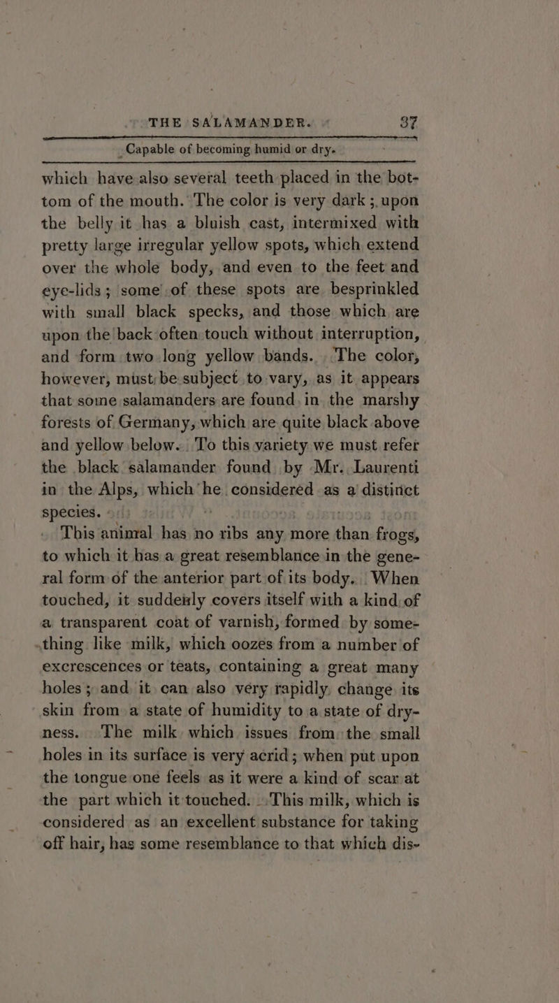 Capable of becoming humid or dry. which have also several teeth placed in the bot- tom of the mouth. The color is very dark ;, upon the belly it has a bluish cast, intermixed with pretty large irregular yellow spots, which extend over the whole body, and even to the feet and eye-lids ; some’.of these spots are besprinkled with small black specks, and those which, are upon the back-often touch without interruption, and form two long yellow bands... The color, however, must; be subject to vary, as it appears that some salamanders are found. in. the marshy forests of Germany, which are quite black above and yellow below. To this variety we must refer the black salamander found by Mr.,Laurenti in the Alps, which he. considered as a distirtct species. - ‘3 ) This animal has no ribs any more than frogs, to which it has a great resemblance in the gene- ral form of the anterior part of its body. When touched, it suddeizly covers itself with a kind, of a transparent coat of varnish, formed. by some- thing like milk, which oozes from a number of excrescences or teats, containing a great many holes ; and it can also very rapidly, change its skin from a state of humidity to a state of dry- ness. The milk which issues from: the small holes in its surface is very acrid; when put upon the tongue one feels as it were a kind of scar at the part which it touched. ..This milk, which is considered as an excellent substance for taking off hair, has some resemblance to that which dis-