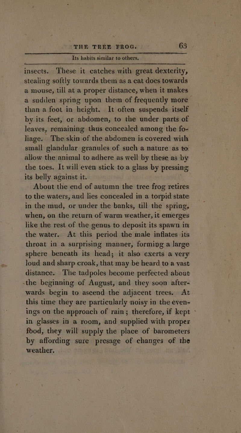 Its habits similar to others. insects. These it catches with great dexterity, stealing softly towards them as a cat does towards a mouse, till at a proper distance, when it makes than a foot in height. It often suspends. itself by its feet, or abdomen, to the under parts of leaves, remaining thus concealed among the fo- liage. ’ The skin of the abdomen is covered with small glandular granules of such a nature as to allow the animal to adhere as well by these as by the toes. It will even stick toa glass by pressing its belly against it. About the end of autumn the tree frog retires to the waters, and lies concealed in a torpid state in the mud, or under the banks, till the spring, when, on the return of warm weather, it emerges like the rest of the genus to deposit its spawn in the water. At this period the male inflates its throat in a surprising manner, forming a large sphere beneath its head; it also exerts a very loud and sharp croak, that may be heard to a vast distance. The tadpoles become perfected about -the beginning of August, and they soon after- wards begin to ascend the adjacent trees. At this time they are particularly noisy in the even- ings on the approach of rain; therefore, if kept in glasses in a room, and supplied with proper food, they will supply the place of barometers by affording sure presage of changes of the weather. é