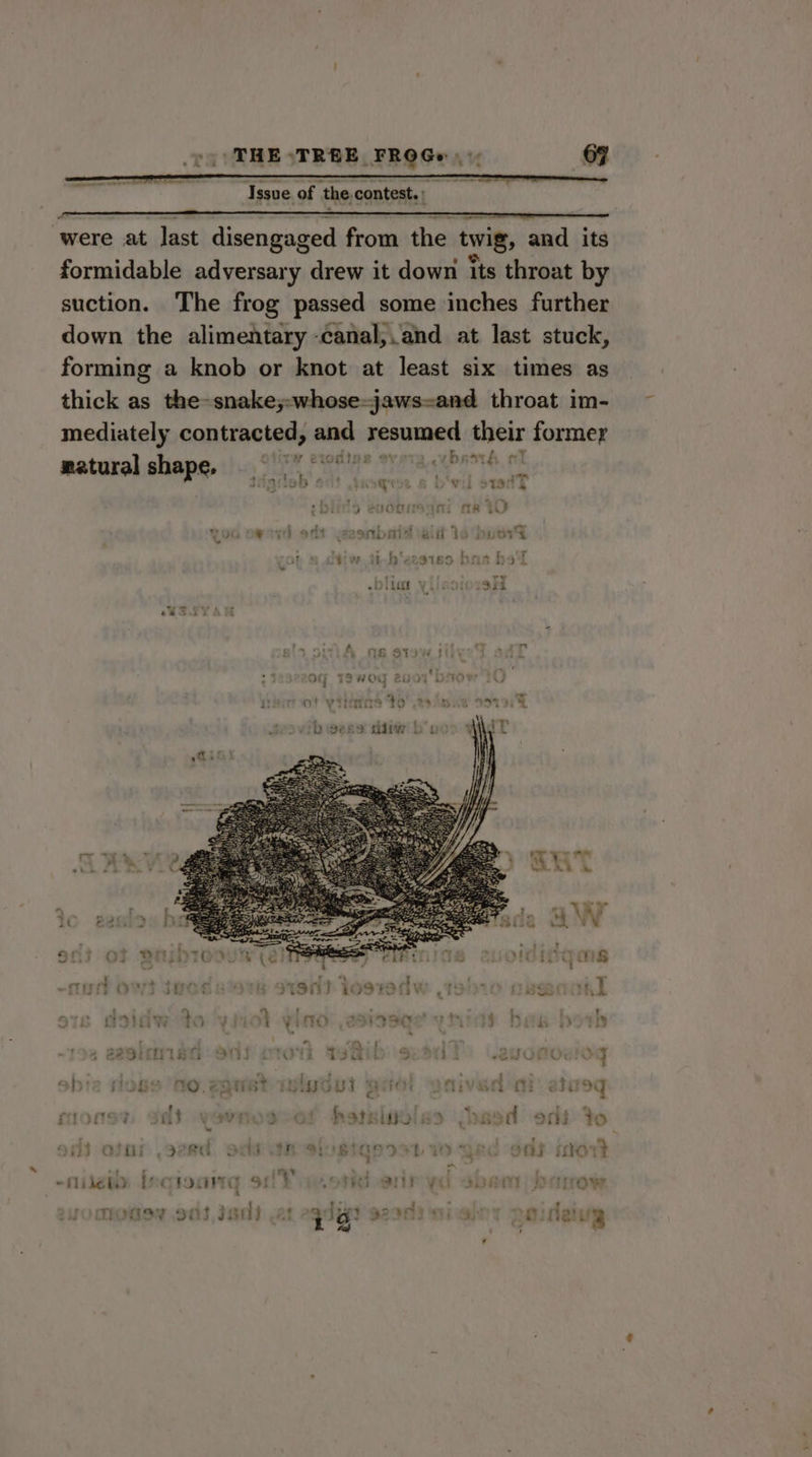 Issue of the contest.) Tobia were at last disengaged from the twig, and its formidable adversary drew it down its throat by suction. The frog passed some inches further down the alimentary -canal,.and at last stuck, forming a knob or knot at least six times as thick as the-snake;-whose-jaws=and throat im- mediately contracted, and resumed their former 7 , penn? 7h —_ matural shape, © °° goby ota vin he’ a ’ ; on) so q ¥il STt3 + ) eot ti me i ¥ 3 Wom bid : HUOrs ; i h‘ezoiss brs be eb] tet SH Py fs £&amp; S1U'N : r ra - + ti a ’ og TS HwWOG 2vo1 vitor of ‘yitintird to 49 )oxe ss T ib eens daw b's wid t ry is Lt 2 j 9 QO} .% al s ytt 4 Ly y t t 7 } 1 vino! 2sinses vinta bes both 7 Df ' 29510 185 Olli iva 3 h eu } - { : : © $1 DHSS pe } ae 4 yi 3q ; s) PM ‘ — 3 are © wort chi moms’ 303 wavnoseot hersisviss (beed oni Yo ~ . , P 9713 ovo 378G. OTN VIR BUSTS OSL 1D REO Offs hort | ‘td —~ | : : way Bi she ees ~flijeliy) inc tooaig ee .oThG BF Val GDN PATOowr ndiine oe Be tite : de ol MOMS 90S, IGN) At 13° 92901 Ti Ba) Oi neti eh 3