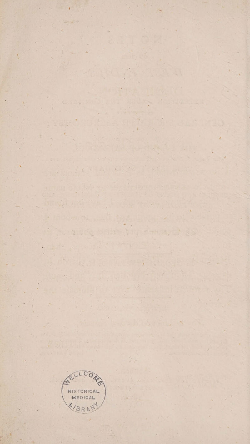 a Ady ie ‘a Siteks HEP ADE i. ty 7 de eersau