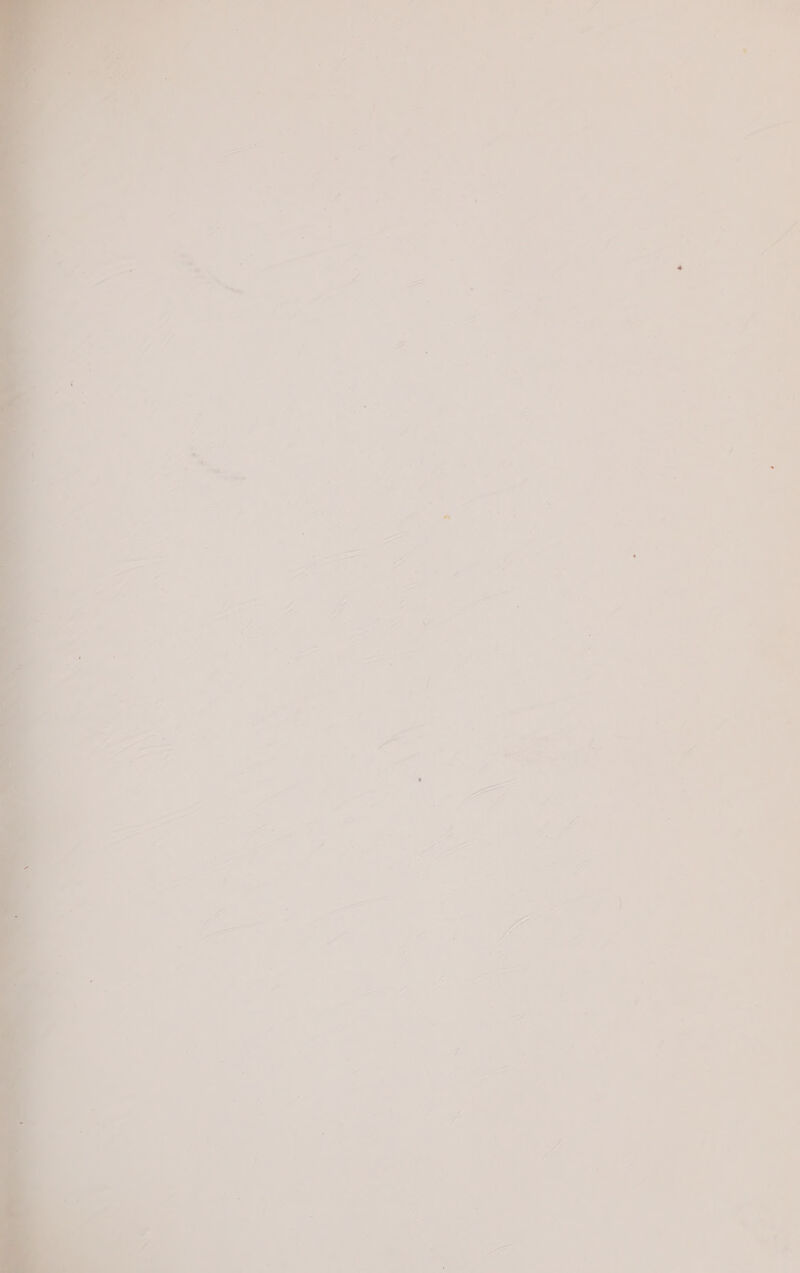 ‘a : : zs J , 5 2 : i y ; : 7 ; : =) : : f ! i : 3 , : + f ff ae Z oan 4 J i &gt; ; 4 —,' — “an » - i ~ ; *. : - ~ ie : x . &lt; 7 =&lt; . s Z 4 F J ‘ 2 ' : | o A th : y P ¥ ne 4 - . ye