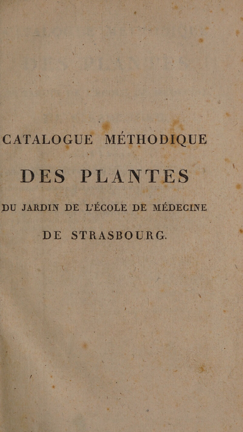 y # LE CATALOGUE MÉTHODIQUE DES PLANTES DU JARDIN DE L'ÉCOLE DE MÉDECINE DE STRASBOURG. (