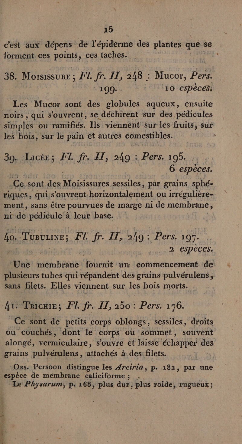 c’est aux dépens de l’épiderme des plantes que se forment ces points, ces taches. 38. MorsissuE ; FT. fr. IL, 218 : Mucor, Pers. * 199. 10 espéceÿ: Les Mucor sont des globules aqueux, ensuite noirs , qui s'ouvrent, se déchirent sur des pédicules les bois, sur le pain et autres comestibles. 39+ Le FT. fs IT, 249 : Bons. 105. . Ce sont des Moisissures sessiles, par grains sphé- riques , qui s'ouvrent EN ou irrégulière- ment, sans être pourvues de marge ni de membrane ’ ni de pédicule à leur base. jo. Tusvune; EL tr. A7, 249 : Pers. 197- 2 espéces. Une membrane blnasts ‘un commencement de: sans filets. Elles viennent sur les bois morts. Ce sont de petits corps oblongs, sessiles, droits ou couchés, dont le ge ou sommet, souvent alongé, vermiculaire, s'ouvre et laisse PARAICE des grains pulvérulens , attachés à des filets. | Oss. Persoon distingue les Arczria, p. 182, par une espèce de membrane caliciforme ; ,. _ Le Physarum, p. 168, plus dur, plus roide, rugueux ; + M