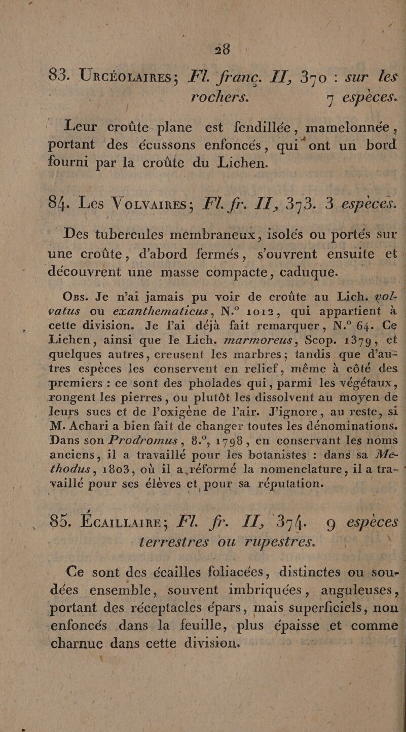 58 93. URGÉOLAIRES ; F1. franc. IL, 350 : sur les. rochers. 7 espéces. Leur croûte. plane est fendillée , mamelonnée , portant des écussons enfoncés, qui “ont un bord fourni par la croûte du Lichen. 84. Les Vorvaires; F1 fr. IT, 373. 3 especes. Des tubercules mémbraneux, isolés ou portés sur une croûte, d'abord fermés, s'ouvrent ensuite et: découvrent une masse compacte, caduque. Os. Je nai jamais pu voir de croûte au Lich. vo/- vatus ou exanthematicus, N° 1012, qui appartient à . cette division. Je l’ai déjà fait remarquer, N.° 64. Ce Lichen, ainsi que le Lich. #7armoreus, Scop. 1370, et quelques autres, creusent les marbres; tandis que d’au- tres espèces les conservent en relief, même à côté des premiers : ce sont des pholades qui, parmi les végétaux, rongent les pierres, ou plutôt les dissolvent au moyen de leurs sucs et de l’oxigène de l'air. J’ignore, au reste, si M. Achari a bien fait de changer toutes les dénominations. Dans son Prodromus, 8°, 1798, en conservant lés noms anciens, il a travaillé pour les botanistes : dans sa We- thodus , 1803, où il a réformé la nomenclature, il a tra- vaillé pour ses élèves et pour sa réputation. | 85. ÉcaiLLAIRE; F1. fr. 11, 374 :9 TE lerrestres ou rupesires. Ce sont des écailles lianbot distinctes ou sou- dées ensemble, souvent imbriquées, anguleuses, portant des réceptacles épars, mais superficiels, non. ‘enfoncés dans la feuille, plus nn et comme. charnue dans cette division. CRT ‘4 8f (4 { ñ