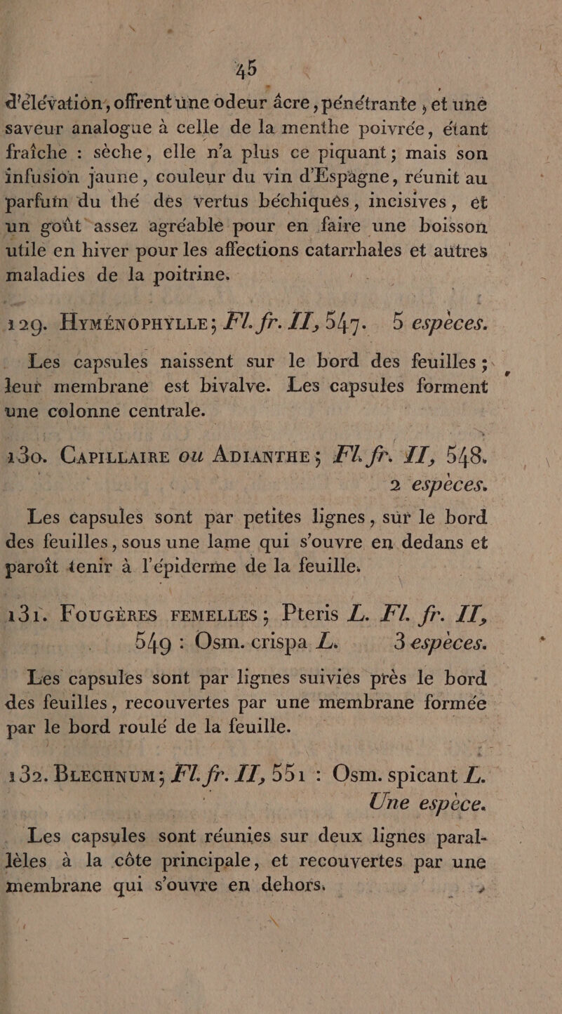 | | ADA A d'élévation offrentune odeur âcre , pénétrante , et uné saveur analogue à celle de la menthe poivrée, étant fraîche : sèche, elle n'a plus ce piquant ; mais son infusion jaune, couleur du vin d'Espagne, réunit au parfuin du thé des vertus béchiqués, incisives, ét un goût assez agréable pour en faire une boisson utile en hiver pour les affections catarrhales et autres maladies de la poitrine. 329. HyMÉNOPHYLLE ; FT fr. IL, 547. 5 espèces. leur membrane est bivalve. Les (ARE forment une colonne centrale. 130. CaPILLAIRE où ADIANTHEs À. fr. AT, 548. 2 espèces. Les capsules sont par petites Lignes, sûr lé bord des feuilles, sous une lame qui s'ouvre en dedans et paroît 4enir à l'épiderme de la feuille. 131. Foucires FEMELLES : Pteris L. F7. fr. IT, 549 : Osm. crispa. L. 3 espèces. par le bord roulé de la feuille. Une espèce. Les capsules sont réunies sur deux lignes paral- lèles à la côte principale ; et recouvertes par une membrane qui s'ouvre en dehors 339 \ [4