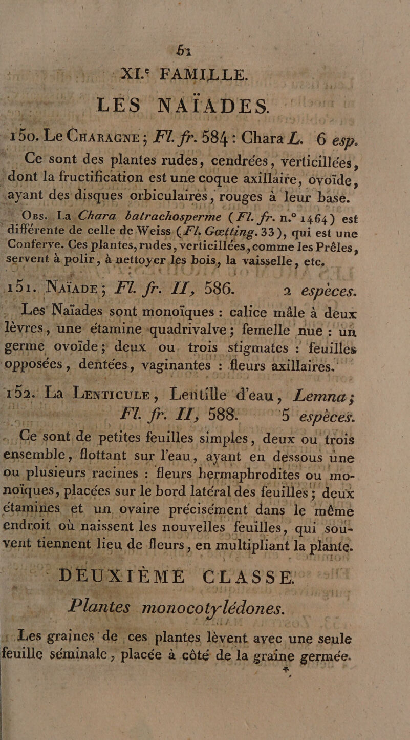 Bi XI: FAMILLE. LÉS NAÏADES. L 50. Fe ÉttoNpe fr. 584: Chat#T, 6 esp. Ce’ sont des plantes rudes, cendrées verticillées, \dont la fructification est une coque axilläite, ovoïde, iayant des disques orbiculairés , ) rouges à Jeur base. Onss.. La Chara batrachosperme (FL fr. n. °1464) est ‘ différente de celle de Weiss: (#72, Gœtting. 33), qui est une Conferve. Ces plantes, rudes, verticillées. »comme les Prêles, servent à polir, à MEUOHEE) les | pris LS Lo vaisselle, cts ab, Niue ; F1. fr. Tr 586. 2 espèces. “Les Naïades sont monoïques : calice mâle à deux lèvres, une étamine quadrivalve ; femelle mue : un germe ovoiïde ; deux ou. trois stigmates : feuilles opposées , dentées, vaginantes. : fleurs axillaires. | 292. La LewricuLe , Létitille” d'eau, _Lemna ; FT. fr. IT, 588. 0 espèces. de sont de petites feuilles simples deux ou {rois mb flottant sur l’eau, ayant en dessous une ou plusieurs racines : fleurs hermaphrodites « ou MO0- noïques, ‘placées sur le bord latéral des feuilles ; deux étamines. et un, ovaire précisément dans le “même endroit où naissent les nouvelles feuilles, qui sou- vent tiennent lieu de. fleurs. ) en multipliant la PS DÉUXIÈME CLASSE Plantes monocoty lédones. Les graines de ces plantes lèvent ayec une seule feuille séminale, placée à côté de la graine germée. ne