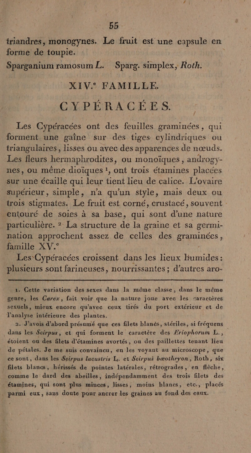 pb. iriandres, monogynes. Le nr est une capsule en forme de toupie. Sparganium ramosum L. Sparg. simplex, Roth. XIV. FAMILLE. CY P É R À C É ES. Les Cypéracées ont des feuilles graminées , qui forment. une gaîne sur des tiges cylindriques ou triangulaires, lisses ou avec des apparences de nœuds. Les fleurs hermaphr odites, ou monoïques , androgy- nes, ou même dioïques 1 ont trois étamines placées sur une écaille qui leur tient lieu de calice. L’ovaire supérieur, simple, n'a qu'un style, mais deux ou trois stigmates. Le fruit est corné, crustacé, souvent : entouré de soies à sa base, qui sont d’une nature particulière. 2? La structure de la graine et sa germi- nation approchent assez de celles des graminées , famille XV.‘ | Les Cypéracées croissent dans les lieux humides : plusieurs sont farineuses, nourrissantes ; d’autres aro- 1. Cette variation des sexes dans la même classe, dans le même genre, les Carex, fait voir que la nature joue avec les “aractères sexuels, mieux encore qu'avec ceux tirés du port extérieur et de l'analyse intérieure des plantes. | 2. J’avois d’abord présumé que ces filets blanés, stériles, si fréquens dans les Scirpus, et qui forment le caractère des £riophorum L., étoient ou des filets d’étamines avortés, ou des paillettes tenant lieu de pétales. Je me suis convaincu, en les voyant au microscope, que ce sont, dans les Scirpus lacustris L. et Scirpus bæothryon, Roth, six filets blancs, hérissés de pointes latérales, rétrogrades , en flèche, _ comme le dard des abeilles, indépendamment des trois filets des : étamines, qui sont plus minces , lisses, moins blancs, etc., placés | parmi eux, sans doute pour ancrer les graines au fond des eaux.