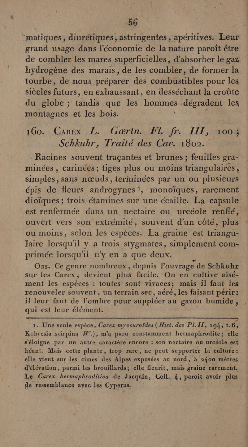 -matiques, diurétiques, astringentes, apéritives. Leur grand usage dans l’économie de la nature paroît être de combler les mares superficielles, d’absorber le gaz hydrogène des marais, de les combler, de former la tourbe, de nous préparer des combustibles pour les siècles futurs, en exhaussant, en desséchant la croûte du globe ; tds que les hommes. ne les montagnes et les bois. \ 160. Carex Z. Gœrtn. F1 fr. LIT, 100; Schkuhr, Traité des Car. 1802. : Racines souvent traçantes et brunes ; feuilles gra- - minées, carinées; tiges plus ou moins triangulaires, simples, sans nœuds, terminées par un ou plusieurs épis de fleurs androgynes ', monoïques, rarement dioïques ; trois étamines sur une écaille. La capsule est renfermée dans un nectaire ou urcéole renfé, ouvert vers son extrémité, souvent d'un côté, plus ou moins, selon les espèces. La graine est triangu- laire lorsqu'il y. a trois stygmates, simplement com- primée lorsqu'il n'y en a que deux. Oss. Ge genre nombreux, depuis l'ouvrage de Schkuhr sur les Carex; devient ts facile. On en cultive aisé- ment les espèces : toutes sont vivaces; mais il faut les renouveler souvent, un terrain sec, aéré, les faisant périr: il leur faut de Pombre pour suppléer au Le humide , qui est leur élément. 1. Une seule espèce, Carex myosuroïdes ( Hist. des PL, IT, 194, t. 6, Kobresia scirpina #.), m'a paru constamment hermaphrodite ; elle s'éloigne par un autre caractère encore : son nectaire ou urcéole est béant. Mais cette plante, trop rare, ne peut supporter la culture: elle vient sur les cimes des Alpes exposées au nord, à 2400 mètres d’élévation , parmi les brouillards; elle fleurit, mais graine rarement. Le Curex hermaphroditica de Jacquin, Coll, 4 ; paroit ayoir plus de ressemblance avec les Cyperus.