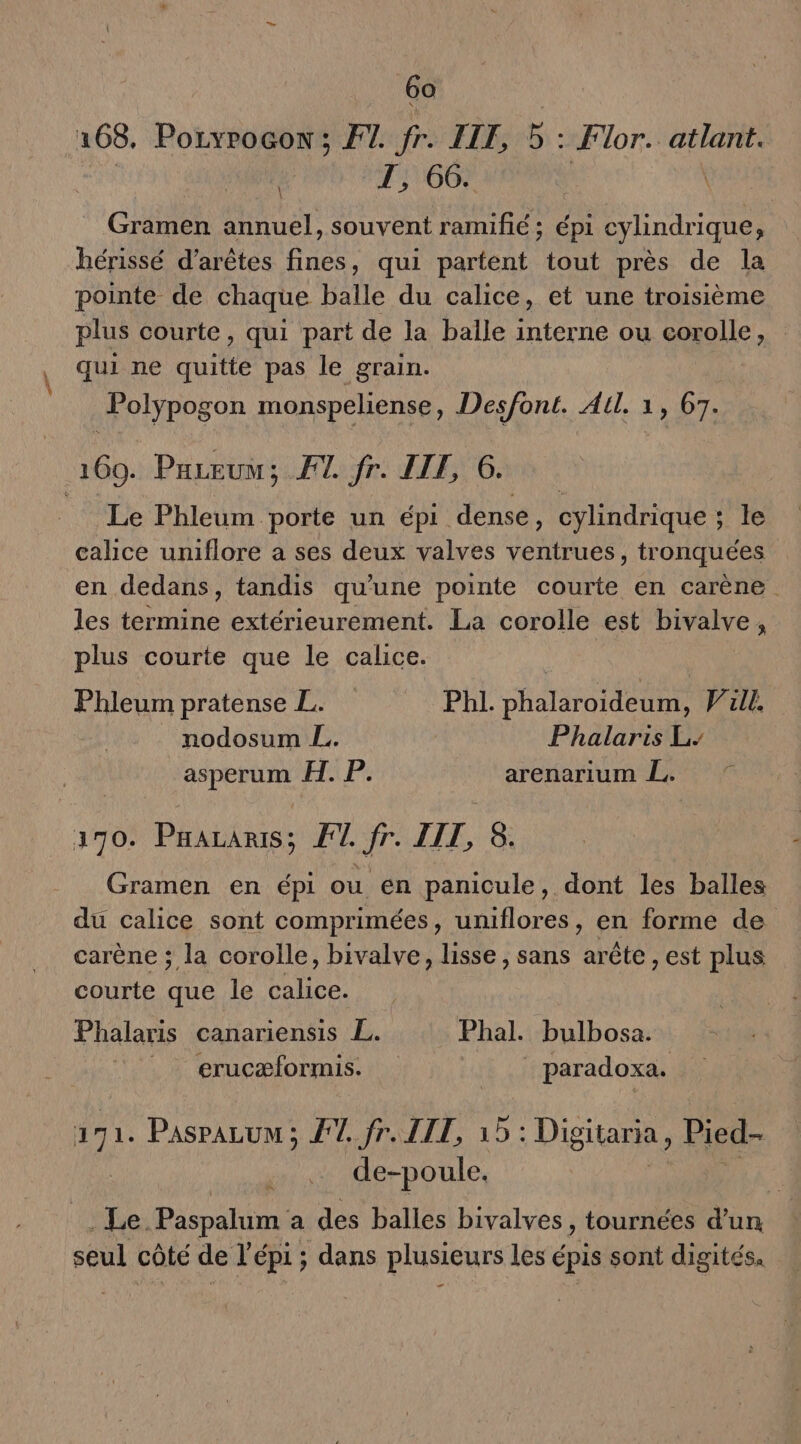 168. Pozxrocox; F7 fr. ILE, 5: Flor.. atlant. T, 66. Gramen annuel, souvent ramifié; épi in à hérissé d’arêtes fines, qui partent tout près de la pointe de chaque balle du calice, et une troisième plus courte, qui part de la balle interne ou gopoile | qui ne auitte pas le grain. Polypogon monspeliense, Desfont. All. 1, 67. 160, Pareuu; FT. fr. ILE, 6. Le Phleum porte un épi dense, cylindrique ; le calice uniflore a ses deux valves ventrues, tr onquées en dedans, tandis qu'une pointe courte en carène. les termine extérieurement. La corolle est bivalve, plus courte que le calice. \ Phleum pratense L. Phl. vhalaroideum, Jill. nodosum L. Phalaris L- asperum H. P. arenarium Le 170. Patins: FT. “ IL, 3. Gramen en épi ou en panicule, dont les balles du calice sont comprimées, uniflores, en forme de carène ; la corolle, bivalve, lisse, sans arête , est plus courte que le calice. Phalaris canariensis 4 -Phal. bulbosa. erucæformis. | paradoxa. 1 Pasrazum ; ET fr. LIT, 15: Digitaria, Pied- de-poule, - Le, Paspalum a des balles bivalves, tournées d’un seul côté de l'épi ; dans plusieurs les épis sont digités.