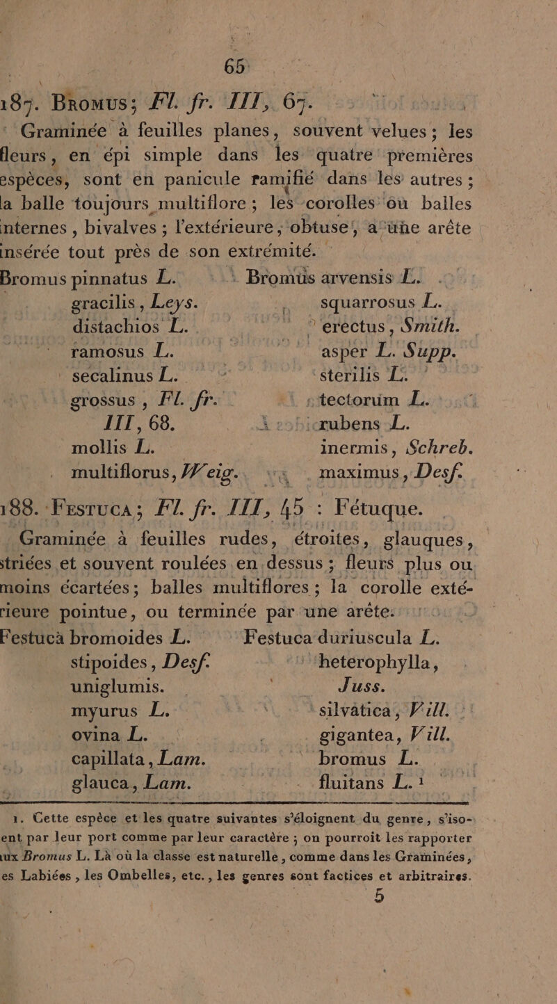 QUE Bromus; #7 fr. IIT, 65. Holmes Graminée à feuilles planes, souvent velues; les fleurs, en épi simple dans les quatre premières PE sont en panicule ramifié dans les autres ; a balle toujours multiflore ; les corolles ou lee nternes , bivalves ; l’extérieure ; obtuse, a-üñe arête nmsérée tout près de son extrémité. Bromus pinnatus L. + Bromus arvensis L. gracilis , Leys. . Squarrosus L. distachios L. ET CLOCLUS » Smith. ramosus L. ; 4 _aspér jh S'upp. secalinus L. ‘sterilis L: ? grossus , FL fr. :tectorüm ÆL. IIT, 68. Akz5hiubens:L. mollis L. inermis, Schreb. multiflorus, ei eig., x . maximus, Des/. 188. na PLATE 45: Fétuque. Graminée à feuilles rudes, étroites, glauques, triées et souvent roulées en dessus ; fleurs plus ou. moins écartées; balles muiltiflores ; IA corolle exté- rieure pointue, ou termince par une arête: Festucà bromoides L. Festuca duriuscula Z. stipoides , Desf. ‘heterophylla, uniglumis. ME ESS myurus L. -silvatica, Pull. ovina 1. | gigantea, Vaull. capillata, Lam. © bromus L. glauca, Lam. | . fluitans L.: 1. Cette espèce et: 1è quatre suivantes s’éloignent du genre, s’iso- ent par leur port comme par leur caractère ; on pourroit les rapporter ux Bromus L. Là où la classe est naturelle, comme dans les Grarminées, es Labiées , les Ombelles, etc., les genres sont factices et arbitraires. 5