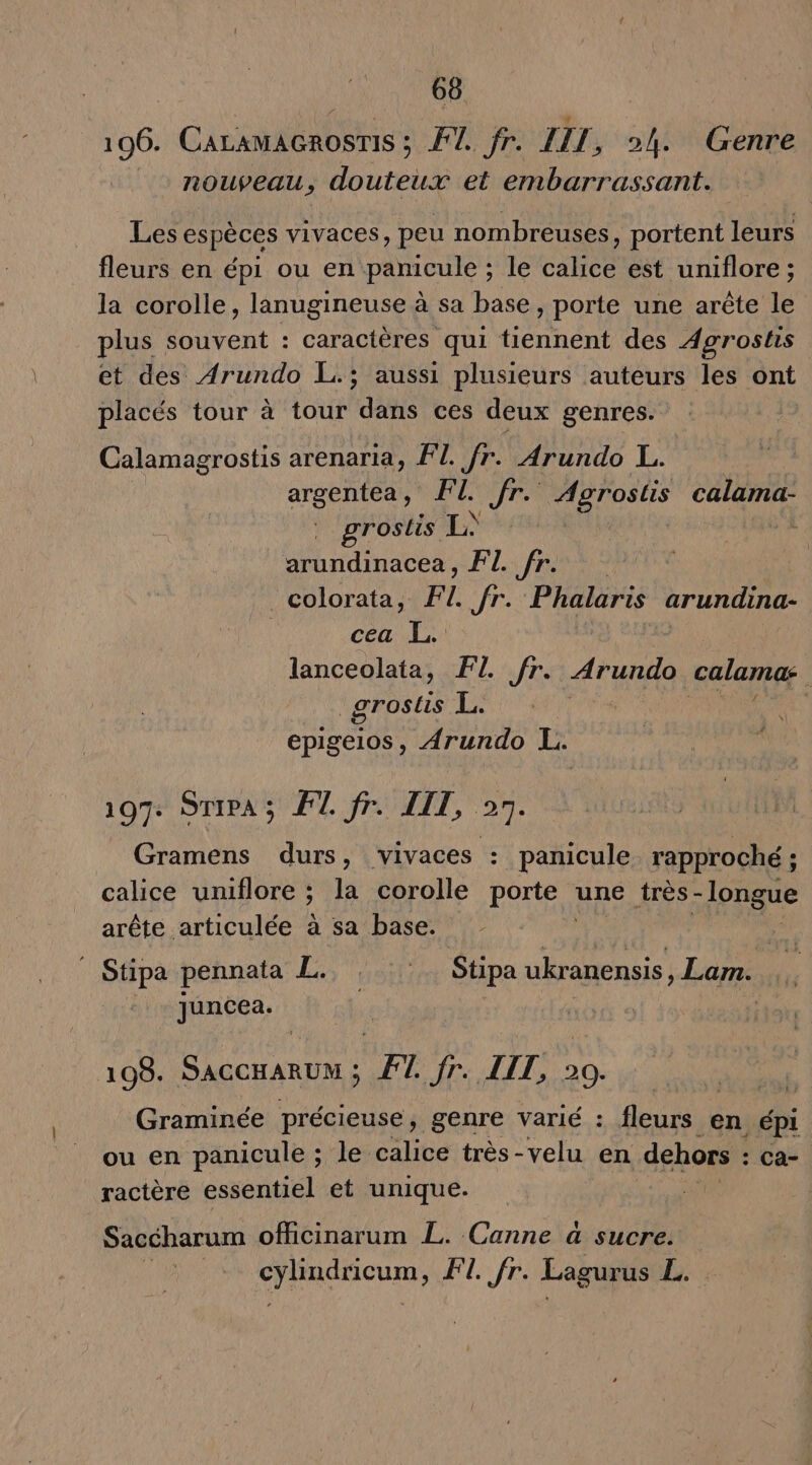 196. CALAMAGROSTIS ; ET, fr: IL, 2h. Genre nouveau, douteux et embarrassant. Les espèces vivaces, peu nombreuses, portent leurs fleurs en épi ou en panicule ; le calice est uniflore ; la corolle, lanugineuse à sa base, porte une arête le plus souvent : caractères qui tiennent des Agroshs et des Arundo L.; aussi plusieurs auteurs les ont placés tour à tour dans ces deux genres. Calamagrostis arenaria, FI. fr. Arundo L. argentea, FL fr. Nanoses CARE rostis L\ arundinacea, FI. fr. | _colorata, FI. fr. Phalaris arundina- | cea L. lanceolata, FL fr. Arundo calamas _grostis L. | | epigeios, Arundo L. 197: STiPa; ET fr. LIT, 27. Gramens durs, vivaces : panicule rapproché ; calice uniflore ; ; la corolle porte: une très - longue arête articulée à sa base. Stipa pennata L. : Stipa ukranensis, Lam. Juncea. 198. SAGCHARUN ; FT. fr. LIL, 20 Graminée précieuse, genre varié : fleurs en épi ou en panicule ; le calice très-velu en dehors : Ca- ractère essentiel et unique. Saccharum officinarum L. Canne à sucre. dE SE FI. fr. Lagurus La,