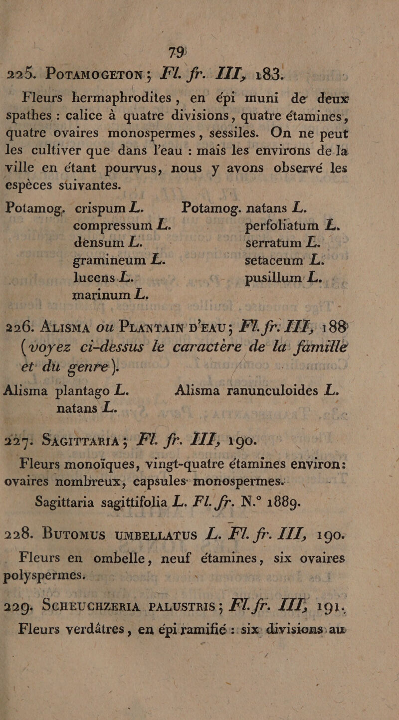 7.9; HA 225. PoramoGEeroN; F1. fr. LIT, 183. Fleurs hermaphrodites, en épi muni de deux spathes : calice à quatre divisions, quatre étamines, quatre ovaires monospermes, sessiles. On ne peut les cultiver que dans l’eau : maïs les environs de la ville en étant pourvus, nous y avons observé les espèces suivantes. Potamog. crispum L. Re natans L. _ compressum L. | perfoliatum E. densum L. serratum L. gramineum L. _ setaceum L. lucens.L. (%- pas L. marinum L, | 26: Mao où Pranrarn D'EAU; PT. fr: EEE, ,88 (voyez ci-dessus le caractère de la: famille ét du genre). Alisma plantago L. Alisma ranunculoides L. natans L. | 357: SacirrariA; FL fr. LITE, 100. Fleurs monoïques, vingt-quatre étamines environ: ovaires nombreux, capsules: monospermes. Sagittaria sagittifolia L. FI fr. N.° 1880. 228. Buromus uusezrarus L. F1. fr. IIT, 100. Fleurs en ombelle, neuf étamines, six ovaires polyspermes: | 220. SCHEUCHZERIA PALUSTRIS ; FT. fr. LIT, 101. Fleurs verdätres, en épi ramifié ::six divisions aw