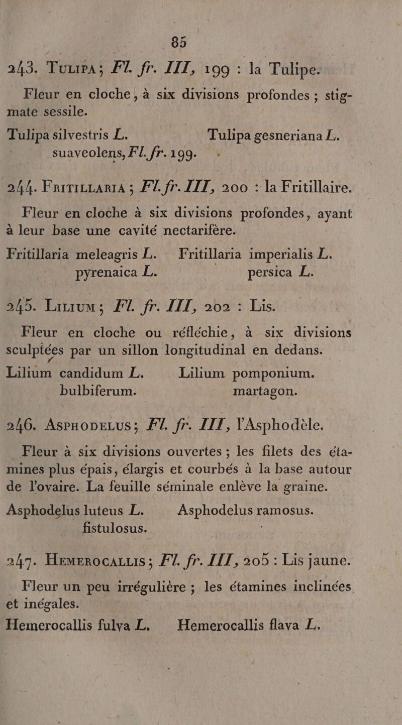 243. Turpa; FT fr. IIT, 199 : Ja Tulipe. Fleur en cloche, à six divisions profondes ; stig- mate sessile. | Tulipa silvestris L. _ Tulipa gesneriana L.. suaveolens, F1. fr. 199. 244. FririccariA ; F7. fr. IT, 200 : la Fritillaire. Fleur en cloche à six divisions profondes, cu à leur base une cavité nectarifère. Fritillaria meleagris L. Fritillaria imperialis L. pyrenaica L. persica L. 245. Larium; FT fr. LIT, 202 : Lis. Fleur en cloche ou réfléchie, à six divisions sculptées par un sillon longitudinal en dedans. Lilium candidum L. Lillum pomponium. bulbiferum. martagon. 246. AsPHoDELUS; FT. fr. IIT, lAsphodèle. _ Fleur à six divisions ouvertes ; les filets des éta- mines plus épais, élargis et courbés à la base autour de l'ovaire. La feuille séminale enlève la graine. Asphodelus luteus L. Asphodelus ramosus. fistulosus. 247. Hemerocazuis ; F1. fr. LIT, 205 : Lis jaune. Fleur un peu irrégulière ; les étamines inclinées et inégales. Hemerocallis fulva L. Hemerocallis flava L,