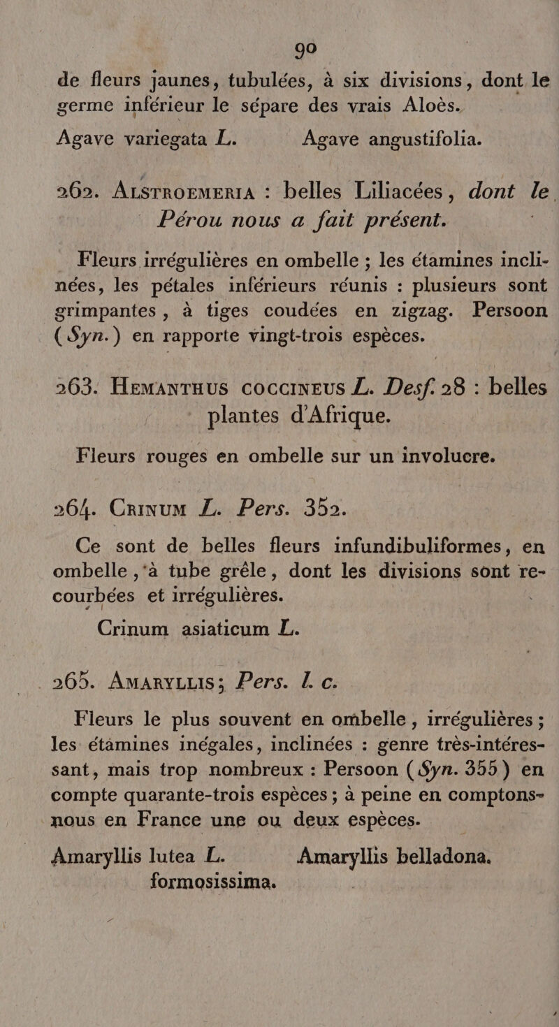de fleurs Jaunes, tubulées, à six divisions, dont le germe inférieur le sépare des vrais Aloès. Agave variegata L. Agave angustifolia. 262. ALSTROEMERIA : belles Liliacées, dont le Pérou nous a fait présent. Fleurs irrégulières en ombelle ; les étamines incli- nées, les pétales inférieurs réunis : plusieurs sont grimpantes , à tiges coudées en zigzag. Persoon (Syn.) en rapporte vingt-trois espèces. 263. Hemanruus coccrneus L. Desf. 28 : belles plantes d'Afrique. Fleurs rouges en ombelle sur un involucre. 264. Crivum L. Pers. 352. Ce sont de belles fleurs infundibuliformes, en ombelle ,‘à tube grêle, dont les divisions sont re- courbées et irrégulières. Crinum asiaticum L. _265. Amarvius; Pers. L c. Fleurs le plus souvent en ombelle , irrégulières ; les étimines inégales, inclinées : genre très-intéres- sant, mais trop nombreux : Persoon (Syn. 355) en compte quarante-trois espèces ; à peine en comptons nous en France une ou deux espèces. Amaryllis lutea L. Amaryllis belladona. formosissima.