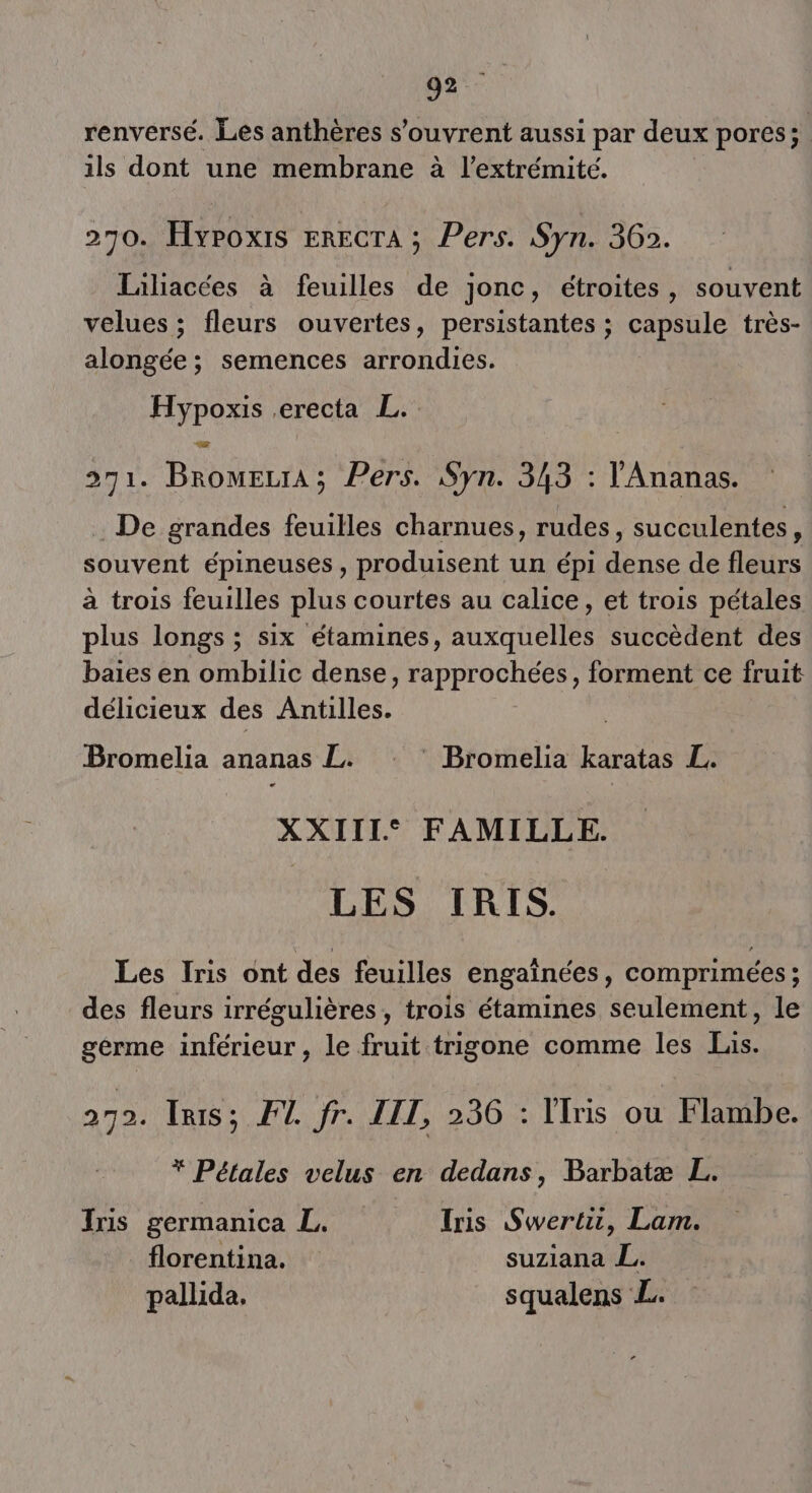 renversé. Les anthères s'ouvrent aussi par deux pores; ils dont une membrane à l'extrémité. 270. Hyroxis Erecra ; Pers. Syn. 36». \ Lailiacées à feuilles de jonc, étroites, souvent velues ; fleurs ouvertes, persistantes ; capsule très- alongée ; semences arrondies. Hypoxis erecta L. 271. BromerrA; Pers. Syn. 343 : VAnanas. De grandes feuilles charnues, rudes, succulentes, souvent épineuses, produisent un épi dense de fleurs à trois feuilles plus courtes au calice, et trois pétales plus longs ; six étamines, auxquelles succèdent des baies en ombilic dense, rapprochées, forment ce fruit délicieux des Antilles. Bromelia ananas L. * ‘ Bromelia karatas L. XXIII° FAMILLE. LES IRIS. Les Iris ont des feuilles engaïnées, comprimées ; des fleurs irrégulières, trois étamines seulement, le gérme inférieur, le fruit trigone comme les Lis. 272. Iris; F2. fr. LIT, 236 : Iris ou Flambe. * Pétales velus en dedans, Barbatæ L. Iris germanica L. Iris Swertu, Lam. florentina. suziana L. pallida. squalens L.