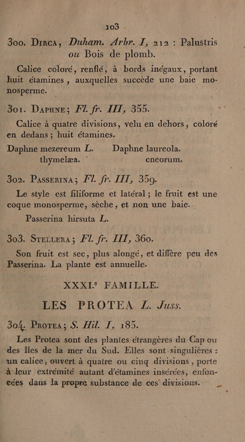 105 . _ 800. Drrca, Duham. Arbr. TJ, 212 : Palustris ou Bois de plomb. Calice coloré, renflé, à bords inégaux, portant huit étamines , tp succède une baie mo- nosperme. | 3o1. Daraxe; FT fr. ET, 355. Calice à quatre divisions, velu en dehors, coloré en dedans ; huit étamines. Daphne mezereum L. Daphne laureola. thymelæa. cneorum. 302. Passerina; F7. fr. LIT, 350. Le style est filiforme et latéral ; le fruit est une . coque monosperme, sèche, et non une baie. Passerina hirsuta L. 303. STELLERA ; FL fr. LIT, 360. Son fruit est sec, plus alongé, et diffère peu des Passerina. La plante est annuelle. XXXI* FAMILLE. LES PROTEA Z. Juss. 304. Prorra; S. Ait Fa 182. Les Protea sont des plantes étrangères du Cap ou ‘des îles de la mer du Sud. Elles sont singulières : un calice, ouvert à quatre ou cinq divisions , porte à leur extrémité autant d’étamines insérées, enfon- cées dans la propre substance de ces divisions.
