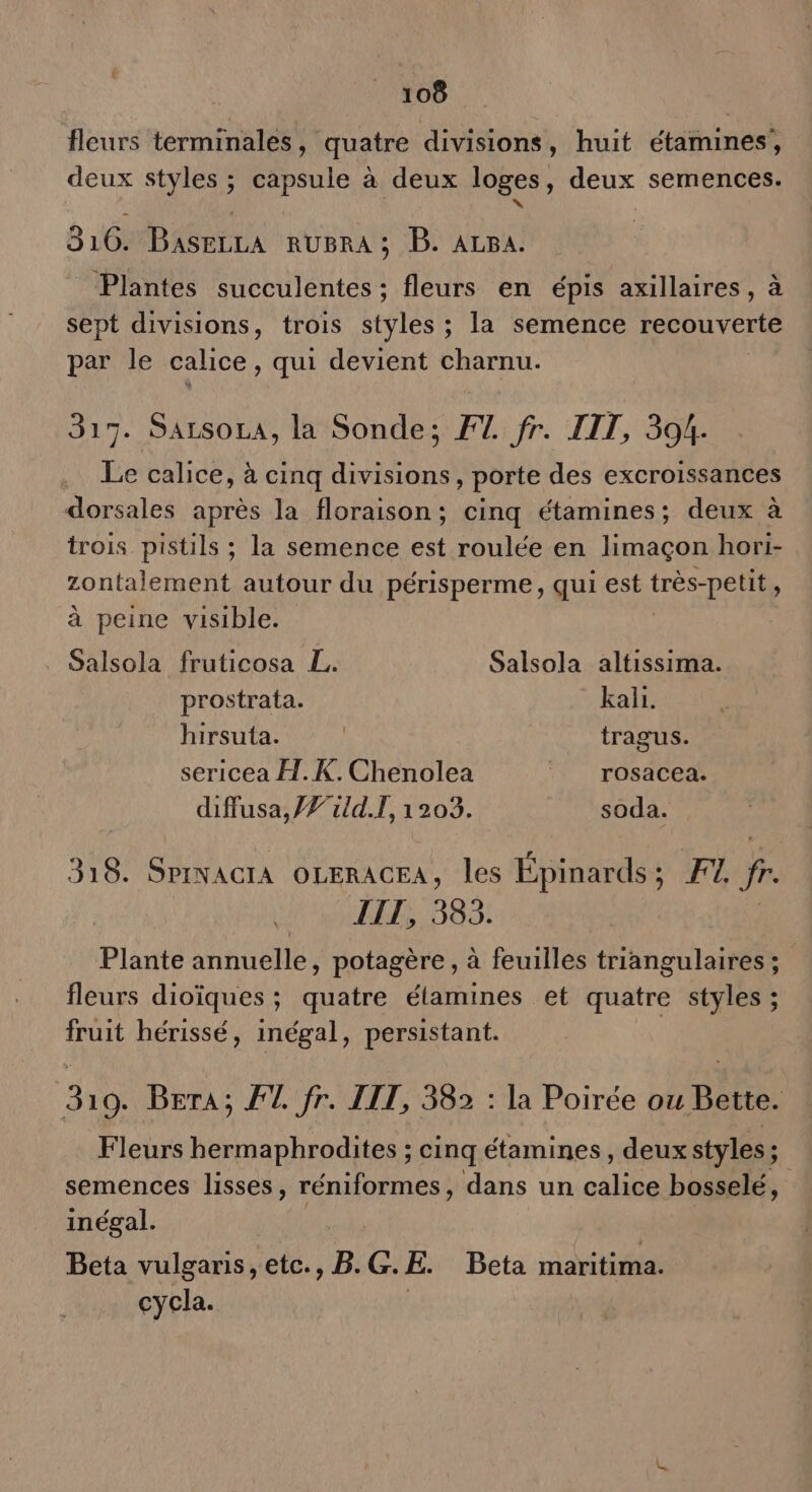 k 08 fleurs terminales, quatre divisions, huit étamines’, deux styles ; capsule à deux loges, deux semences. \ L 3106. BasezLA rRUBRA; B. ALBA. _ Plantes succulentes ; fleurs en épis axillaires, à sept divisions, trois styles ; la semence recouverte par le calice, qui devient charnu. 317. SALSOLA, la Sonde; F1. fr. LIT, 394. … Le calice, à cinq divisions, porte des excroissances dorsales après la floraison; cinq étamines; deux à trois pistils ; la semence est roulée en limaçon hori- zontalement autour du périsperme, qui est très-petit, à peine visible. Salsola fruticosa L. Salsola altissima. prostrata. kali. hirsuta. | tragus. sericea FH. K.Chenolea | rosacea. diffusa, 7 rld.TI, 1203. soda. 318. SPINACIA OLERACEA, les Épinards ; F1 fr IIT, 383. Plante annuelle, potagère , à feuilles triangulaires ; fleurs dioïques ; quatre étamines et quatre styles ; fruit hérissé, inégal, persistant. 319. Brra: FU fr. JIT, 38 : la Poirée ou Bette. Fleurs hermaphrodites ; cinq étamines, deuxstyles; semences lisses, réniformes, dans un calice bosselé, inégal. Beta vulganis, etc., B. G. E. Beta maritima. cycla.
