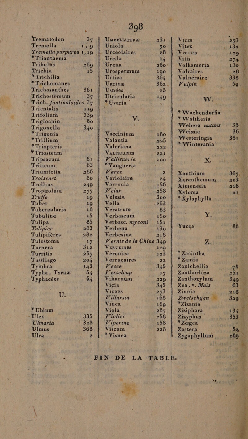 | | L Trematodon 37 Tremella 1,9 Tremella purpurea 1,19 #Trianthema Tribulus 289 Trichia 15 *Trichilia *Trichomanes Trichosanthes 301! Trichostomum 37 Trich. fontinaloides 37 Trientalis 119 Trifolium 339 Triglochin Trigonella 340 *Trigonia *Trillium *Triopteris #Triosteum Tripsacum 61 Triticum 63 Triumfetta 286 Troiscart 80 Trollius 249 .Tropæolum 277 Truffe Tuber Tubercularia Tubuline 15 Tulipa 85 Tulipier 283 Tulipifères 282 Tulostoma 17 Turnera 312 Turritis 257 Tussilago 204 Tymbra 143 Typha, TyruÆ 54 Typhacées 54 U. *Ubium — Ulex 335 Ulmaria | 328 Ulmus 368 Ulva 2 398 UNMBELLIFERÆ Uniola Urcéolaires Uredo Urena Urospermuim Urtica Usnées Utricularia V. 1 Vaccinium Valantia Valeriana VALÉRIANES V'allisneria “Vangueria V'arec Variolaire Varronia V'elar Velezia Vella Veratrum Verbascum Verbena Verbesina VERVEINES Véronica Verrucaires V'esce V'esseloup Viburnum Vicia Vicwes V'illarsia Vinca Viola V'iolier V'iperine Viscum # Visnea 70 28 14 190 364 362 25 149 VirEs Vitex ViTices Vitis Volkameria Volvaires Vulnéraire Vulpin #Waltheria VWVVeissia VWesteringia #* Winterania es Xanthium Xeranthemum Ximenesia Xyloma * Xylophylla L# Yucca R 2. * Zacintha *Zamia Zanichellia Zanthorhiza Zanthoxylum Zea, v. Mais Zinnia Zwetschgen M #Zizania Ziiypbus *Zœgea Zostera 38. 36% 381 203 216