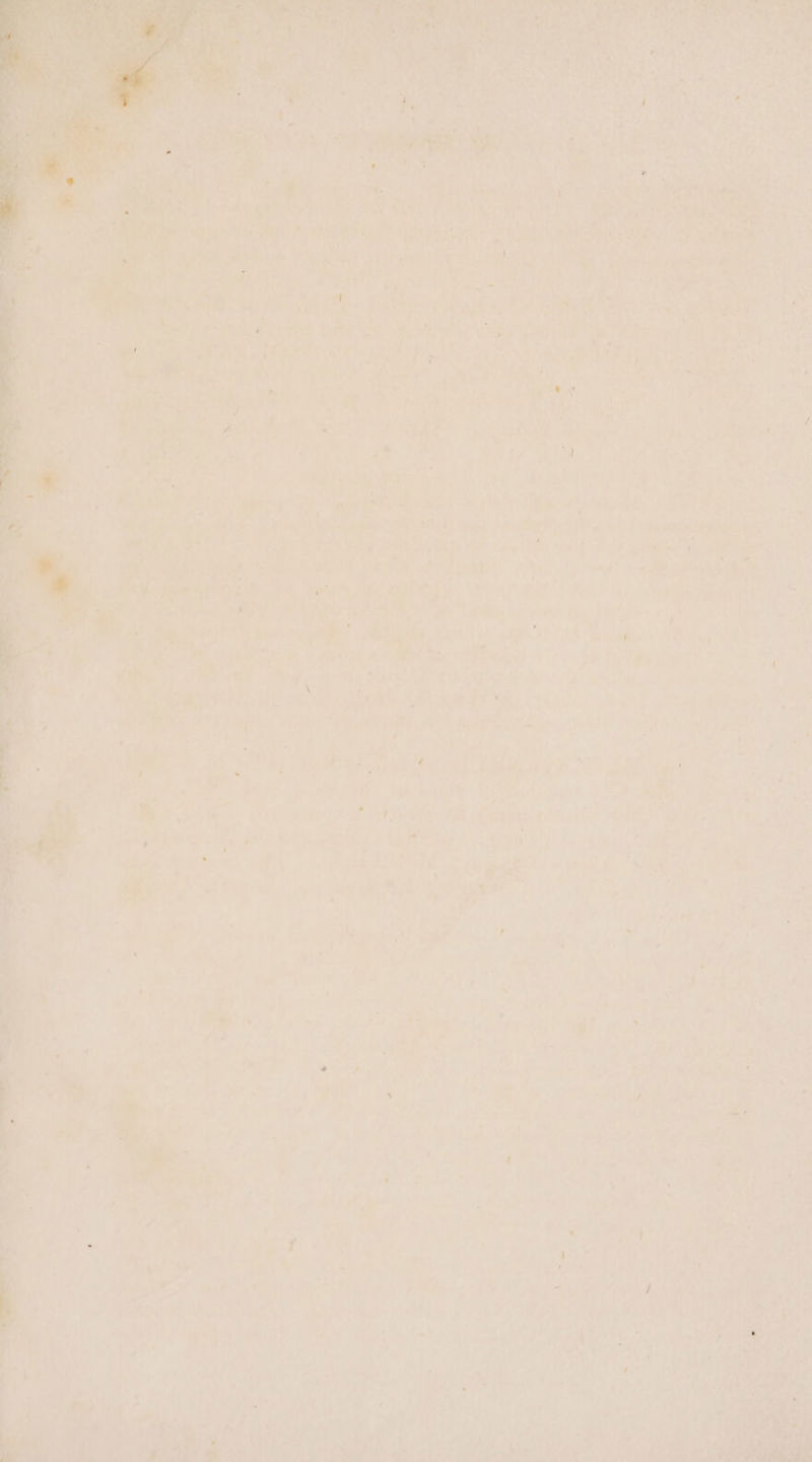 io ee a i, » i KS ¥ oa ee AL hae “4% ey 4 i ae noe