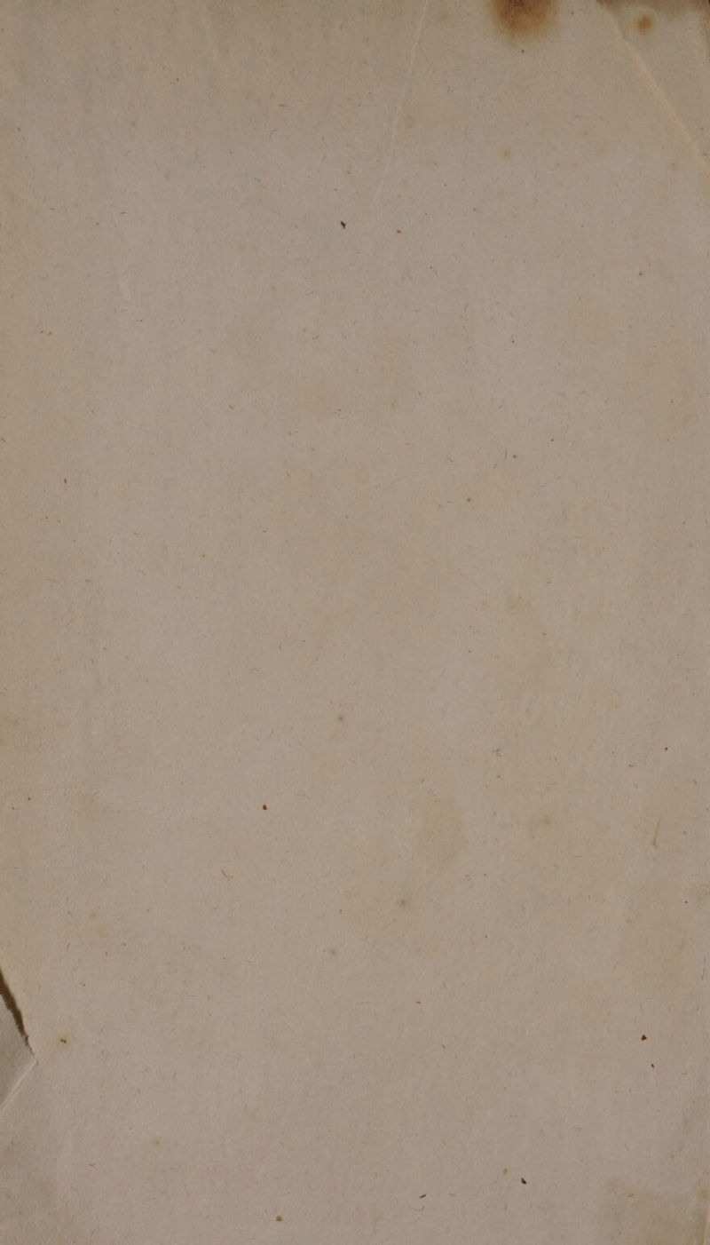 % i) re. ti) ee . a as eS