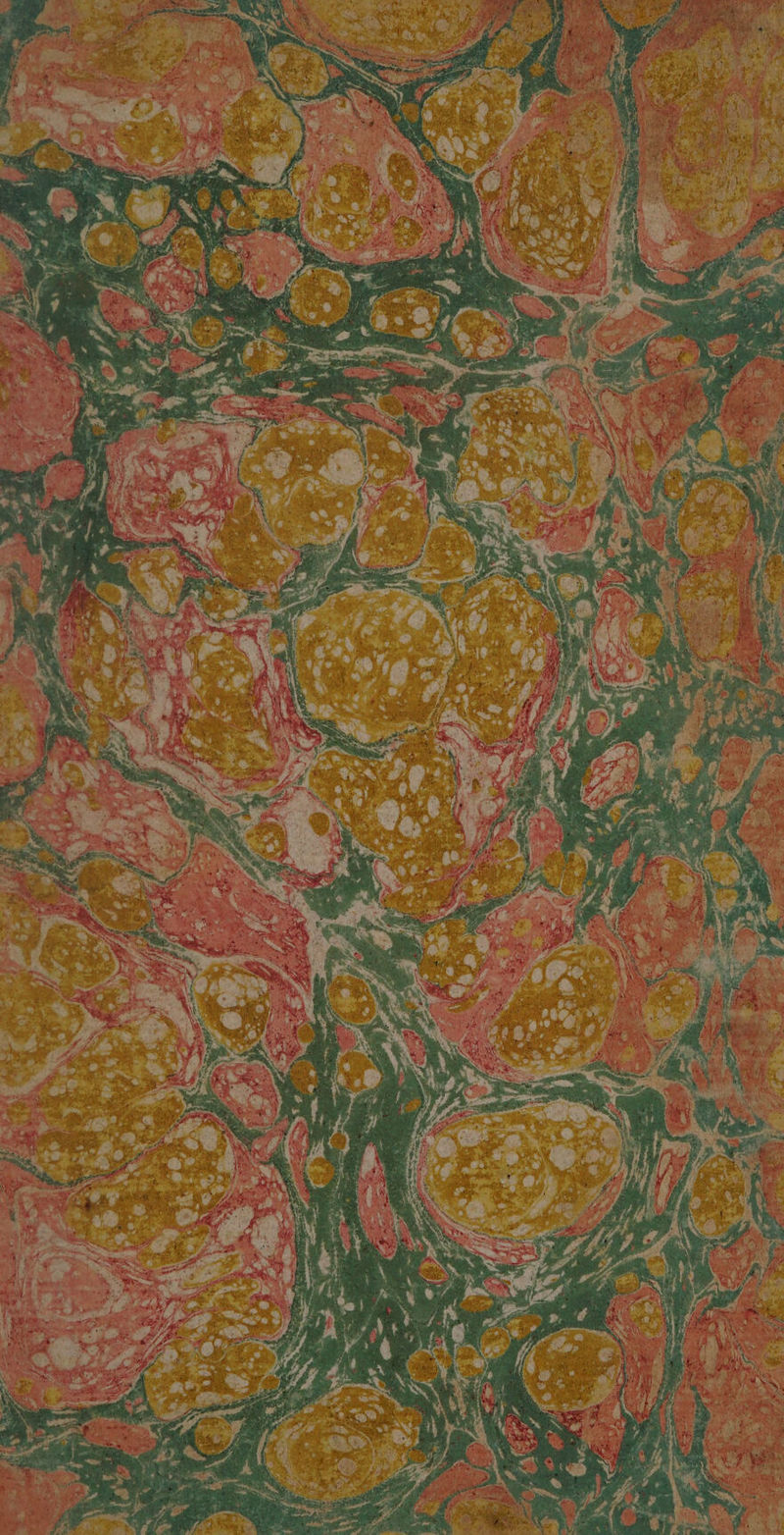 No text description is available for this image