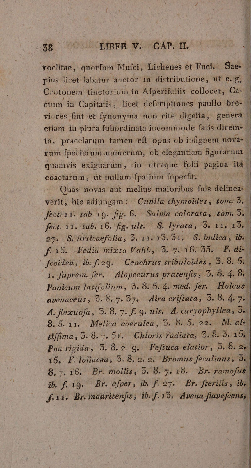 - pius licet labatur auctor 1n distributione, ut e.g, — Crotonem tinctorium in Afperifoliis collocet, Caà- . / etum in Capitatis, licet deferiptiones paullo bre- viores fint et fynonyma non rite digefia, genera | etiam in plura fubordinata incommode fatis direm- ji ta, praeclarum. tamen 'eft opus cob jufienem nova- | rum fpeciertum numerum, ob elezantiam hgurarum . quamvis exiguarum , jn utraque folii pagina ità- coactárüm, üt nullum fpatium füperfit. Quàs novas aut melius. maioribus fuis delineas ! Jecé ai. tdb. 19. fig. 6. Salvia colorata, tóm, 9. 59. 0$. ürticaefolia 5.11.3159.293.. S. indica , ib, f. 316. -Fedia inixta Vahl, 8.7.16. 95, F. di- j feoidea, ib. f.29. — Cenchrus rribuloides , 5. 8. 5. 1. fuprem. fer. Alopecurus pratenfis 5.8: 4. $1 Panicum latifolium, 5. 8. 5. 4, med. fer. Holcus | avenaceus, 9.8.7. 97. dira criftata, 9. 8. 4. 7. 4. flexuofa, 5. 8. 7. f. 9. ult. A. caryophyllea, 5... 8.5.11. Melica coerulea, 5. 8..5,,22. M. al» | tiffima, 5. 8. 7. 5v, Chloris radiata, 5.8. 8. 15, ! Poa rigida, 2.8.2 9g. Feftuca elarior, 5. 8. 2. i5. F.loliacea, 9. 8. 2. 2. Bromus fecalinus; $* 8, 7. 16. Br. mollis , 5, 8. . r8. cBXA ramofus ib f.i9. Br. afper, ib. f. 27. Br. fterilis, ib, | fair Br mnadrüenfis, ib. f. 19. dvena flavefcens; |