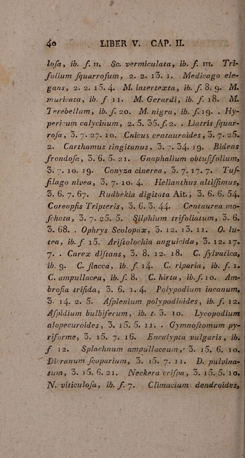 de: oO GBBERIVUUDAPAIL were? . lofa, ib. f. Sc. vermiculata; ib. f. vm, Tri-. folium fquarrofum, .2..2. 19. 1. Medicago ele». gans, 2. 2. 15. 4. M. inzertexta, ib. f. 91 9. M. quuricata, ib. f. 31... M. Gerardi, ib. f. 18. M.) J erebellum, ib. f. 20... M. nigra, ib. fag. .: Hy- | pericum calycinum, 24 :0«/09«J 2. col diis fquar-.-  rofa , 9. 7. 27. 10. ^ Cnicus centauroides , 3. 7. 25. 2. Carthamus tingitanus, 3.7. 94. 139. Bidens | Jrondofa , 5. 6..5. 21. E nana obrui fatis j $.7.10.19. JConyza cinerea, 3. 7. 17. 7. Tuf-! i fago nivea, à, 7 Ti 304. Helianthus altffimusy | 9.6.7. 67. Rudbekia igudra Aidtis«d. Bo e Ge 5 Tripteris, 3.6. 9. 44. Centaurea. mos. Jdohatà . 3.7 QUIRDA qi akwn trifoliatum, $. 6. ] $. 68. . Ophrys Scolopáz, 3.12022 013225. .Q. lu. | tea, ib. f. 15. Ariftolochia anguicida ,: :B. 125 ig. 7. . Carex diftans, à. 8. 12. 18, C. Jylvatica, ib. 9. C. flacca, ib. f. 34... C. riparia, ib. f. au C. ampullacea, ib. f. 0... C. hirta, ib. f: 10.. Am- brofia trifida, 5. 6. 3-4, Polypodium incanum, 1 9. 14. 2. 5. Afplenium polypodioides, ib. f. É Afpidium bulbiferum, db. £. 9. 10. Lycopodium alopecuroides, 9. 15. 5. 11, . Gymnoftomum py riforme, 9. 15. 7. 16. Encalypta vulgaris , ib. | f 19. $plachnum. ampullacewm , (9.1 548 dee ^ Dicranum fcoparium, S. Lab» gii ua pulvinae £um, 9. 15.6.21. Neckera crifpa ; 3.204512
