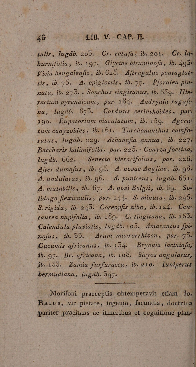 $o- 0! CABE: CCARUM. , talis, lugdb. 209. Cr. retufa; ib. 201. Cr. la«| burnifolia, ib. 197. Glycine bituminofa , ib. 499«1 J'icia bengalenfis , ib. 625. Aftragalus pentaglot*. tis, ib. 25. A. epiglottis, ib. 77. | Pforalea pin-. nata, ib. 279. . Sonchus tingitanus, ib. 659. - Hie | racium pyrenaicum; par. 194. J4ndryala. ragufis na, lug dh. 679. Carduus cerinthoides, par. 190. Eupatorium miaculatum, ib. 159. 4gera:. tum cony zoides , ib.1631. Tarchonanthus camfas. | ratus , lugdb. 229. Athanafia annua, ib. 2274 ll Baccharis halimifolia, par. 225. - : Conyza foctida,. lugdb. 662. Senecio hieracifolius, par. 226. | After dumofus , ib. 99. 4. novae Angliae. ib. 984 4. undulatus, ib. 96. — 4. puniceus, lugdb. 651. 4. mutabilis, ib. '67. 4. novi Belgii, ib. 69. So-| lidago flexicaulis ,. par. 244. S. minuta , ib. 245. S.rigida, ib. 243. Coreopfis alba , ib. 12.4. Cen-. taurea napifolia, ib. 199. C. tingitana, ib. 163. Calendula pluvialis ; lugdb. 102. Amarantus fpi«. | nofus, ib. 99. , drum macrorrhizon, par. 795 ACucumis africanus , ib. 154. | Bryonia laciniofas. | ib. 97. Br. africana, ib. 108. Sicyos angulatuss | | l ib.135. Zamia furfuracea, ib. 210. [uniperus | vrbe e iugdó. 9á7* ; — — —