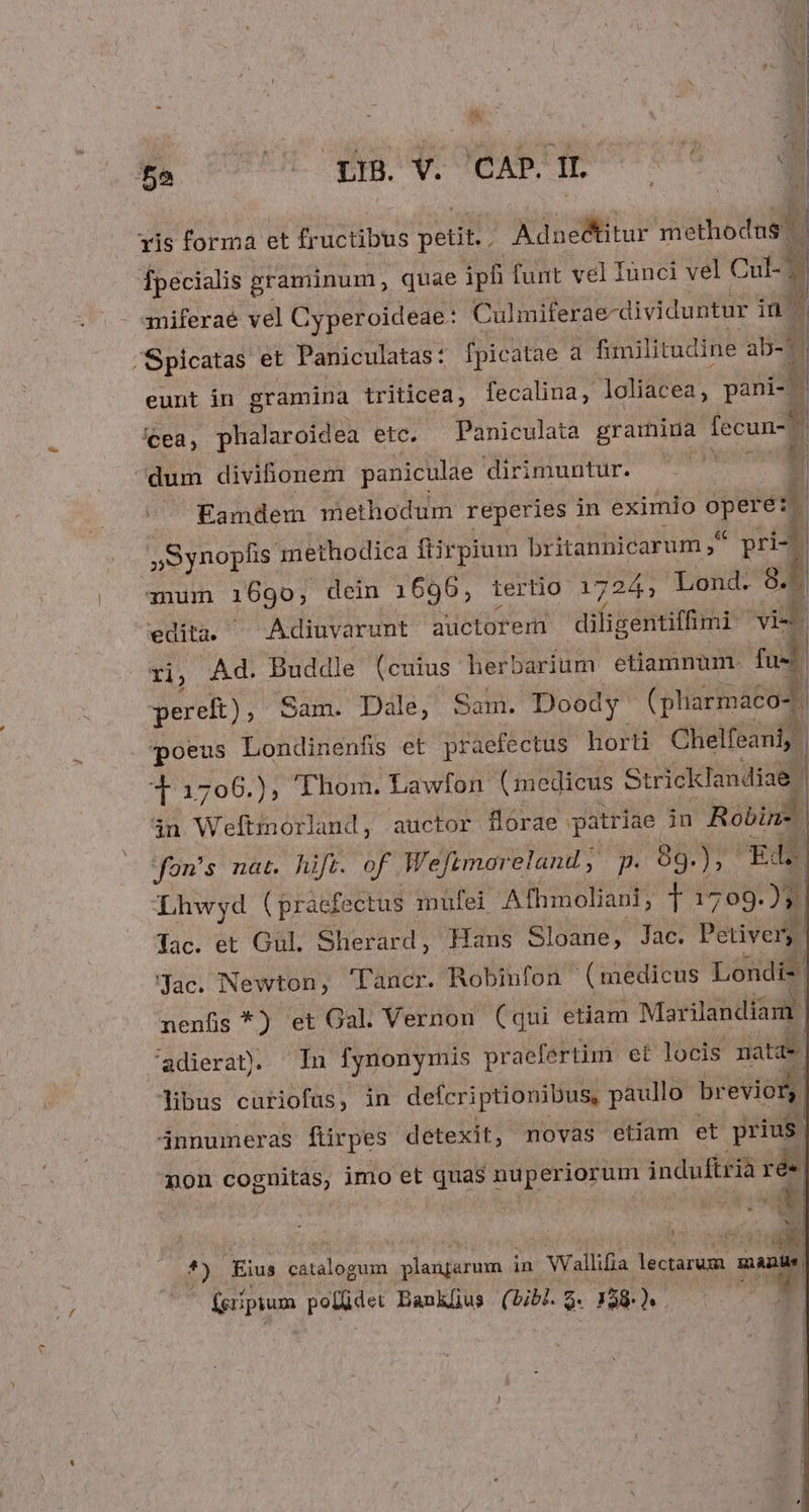 NU E ris forma et fructibus petit.. Adne&amp;itur sho | je graminum, quae ipfi funt vel Iunci vel Cul- ? miferaé vel Cyperoideae: Culmiferae-dividuntur in 7 eunt in gramina triticea, fecalina, loliacea, pani- y icea, phalaroidea etc. Paniculata gramina fecun Eamdem methodum reperies in eximio PRAES »Synopfis methodica fiirpium britannicarum * pri-t mum 169o, dein 1696, tertio 1724; ond 9.8 edita. ^ Adiuvarunt auctorem aifsgéntitii: E | ri, Ad. Buddle (cuius herbarium etiamnum. fu&amp;. pereft), Sam. Dale, Sam. Doody (pliürmacos. poeus Londinenfis et praefectus horti Chelfeani,. | T 1706.), Thom. Lawlon (medicus Stricklandiag. in obras: auctor flórae patriae in Robin- fon's nat. hift. of. Wefimareland ,. p 8g. T xd Lhwyd (praefectus mulei Afhmoliani, TOIT 799. » Tac. et Gul. Sherard, Haus Sloane, Jac. Petiver i4 Jac. Newton, 'lTancr. Robinfon (medicus Load nenfis *) et Gal. Vernon (qui etiam Marilandiam. 'adieran. Iu fynonymis pr aefertim et locis natae libus curiofus, in defcriptionibus, paullo: brevion 4nnumeras ftirpes detexit, novas etiam et prius non cognitas, imo et quas nuperiorum induftria ré H o P ex o3 MEAM oh Eius catalogum xs in Wallifia. jc dins p (eripium poidet Bankhus (bibl. $- 138. e *