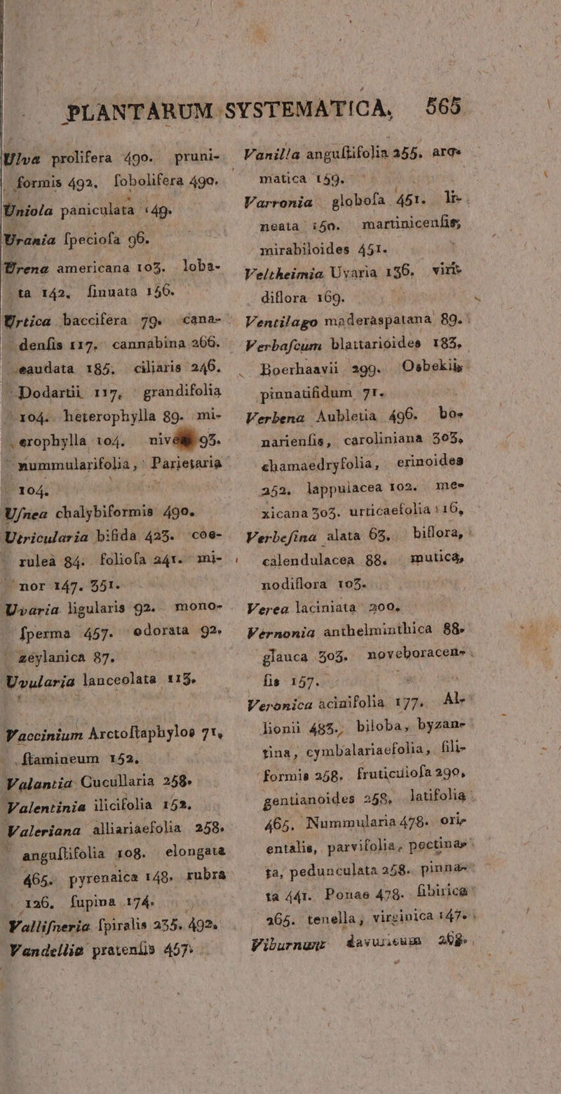 pruni«.- Ulva prolifera 490.. . formis 492. fobolifera 49o. Bniola paniculata «49 Urania [peciofa 96. loba- Trena americana 105. .ta 142. [inuata 156. Ürtica baccifera 79. cana- | denfis 117. cannabina 266. |, eaudata 185. cliaris 246. -Dodartüi 1:17, —grandifolia 2x04. hetrerophylla 89. mi- nivdlit 95. ^ -oópnyls 104. 1 104. U/nea chalybifermis 490. Utricularia bifida 425. coe- ' ruleà 84. foliofa 241. mi- |. mor 147. $51. varia ligularis 92. fperma 457. edorata 92 , &amp;eylanica 87. Uvularia lanceolata 115. monos Vaccinium Arctoftaphyloe 71, .ftfamineum 152. Valantia. GCucullaria 258. Valentinia ilicifolia 152. Valeriana allianaefolia 258. j angu[tifolia 108. elongata . 465. pyrenaica 149. rubra . 126. fupima 174. Vallifneria fpiralis 255. 492. Vandellia pratenlis 457»... - 565 Vanilla si fulin 2355. arg» matica 159. Varronia —globofa. 4st. li- neata i4o. martiniceufis; mirabiloides 451. Veltheimia Uvaria 156. diflora. 169. Ventilago maderaspatana 89.. viri» Boerhaavii | 299. Osbekii pinnaüfidum. 31. Verbena Aubleua 490. bos narienfis, caroliniana $05, shamaedryfolia, erinoide8 252. lappuiacea 102. mee xicana 305. urticaefolia : 16, Verbefina alata 65, biflora, : calendulacea 88. muticá, nodiflora 105. Verea laciniata ^ 200, Vérnonia anthelminthica 88. glauca 505. fis 157.  Veronica aciaifolia 177, Ale lonii 487., biloba, byzane tina, cymbalariaefolia , fili- ' formis 258. fruticuiofa 299, gentianoides 559, laufolia: 465, Nummularia 478- ori» entalis, parvifolia; pectinas ta, pedunculata 258. pinnas: ta 441. Pornae 478. fibirica * 365. tenella, virginica 147« Viburnunr 26g» . noveboracene . dasviieum