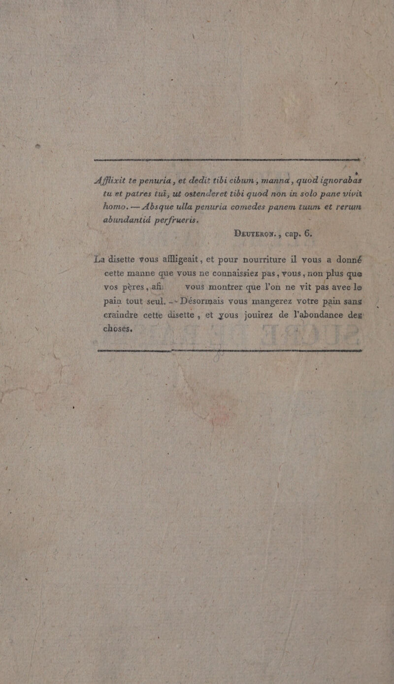 cs op el a SL EE SN ES # L Afflixit te penuria, et dedit tibicibum, manna, quod ignorabas tu et patres tui, ut ostenderet tibi quod non in solo pane vivit homo.— Absque ulla penuria comedes panem tuum et rerum . abundantid perfrueris. or DEuTERoN. , cap. 6. La disette vous affligeait, et pour nourriture il vous a donné cette manne que vous ne connaissiez pas, vous, non us que vos pères af vous montrer que lon ne vit pas avec le pain tout seul. -+ Désormais vous mangerez votre pain sans craindre cette disette , et ee jouirez de l'abondance deg choses. FT ee 4,