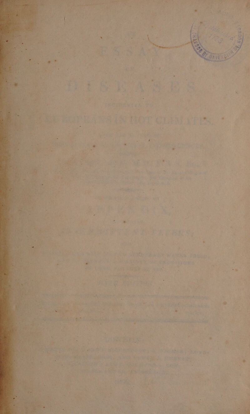 essay a #3 « . ae Aes oo ; . ii ie ; ri wD : ie ok , : is LOT GL ALLO. om * 4 Madly th Mr cit Be ide eee Aan / eethen ey Beh y ae aaa pr Pe ie Nit és Sigh Ire gad eae a, ak ae at ss . BRS LaXee ae ge aa Res ead oe een . Nag ty ee a fla A al a k * a ae eva s0beh: TADS . ei : ee By ‘ai w ~~ ‘ex, te ex 7. ;  Ble SBE, <u Led Ai 3 ing epee | itsige' + yas . A r » » - 2% ‘ a ee oe owas ; ; on — aa vo a i a cage * we er