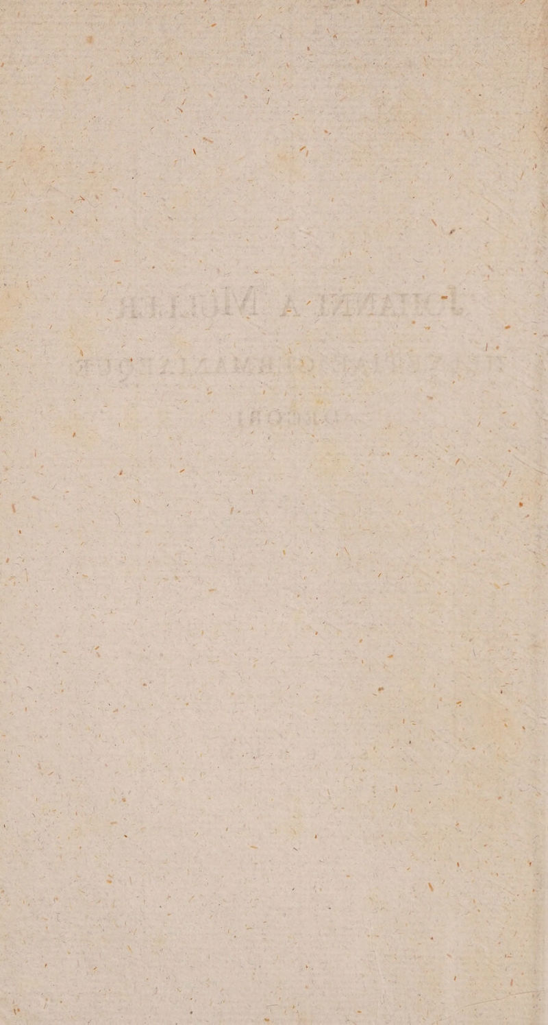 mE uL d e e ROMAE 204 4 1M. Ner y EN or Men