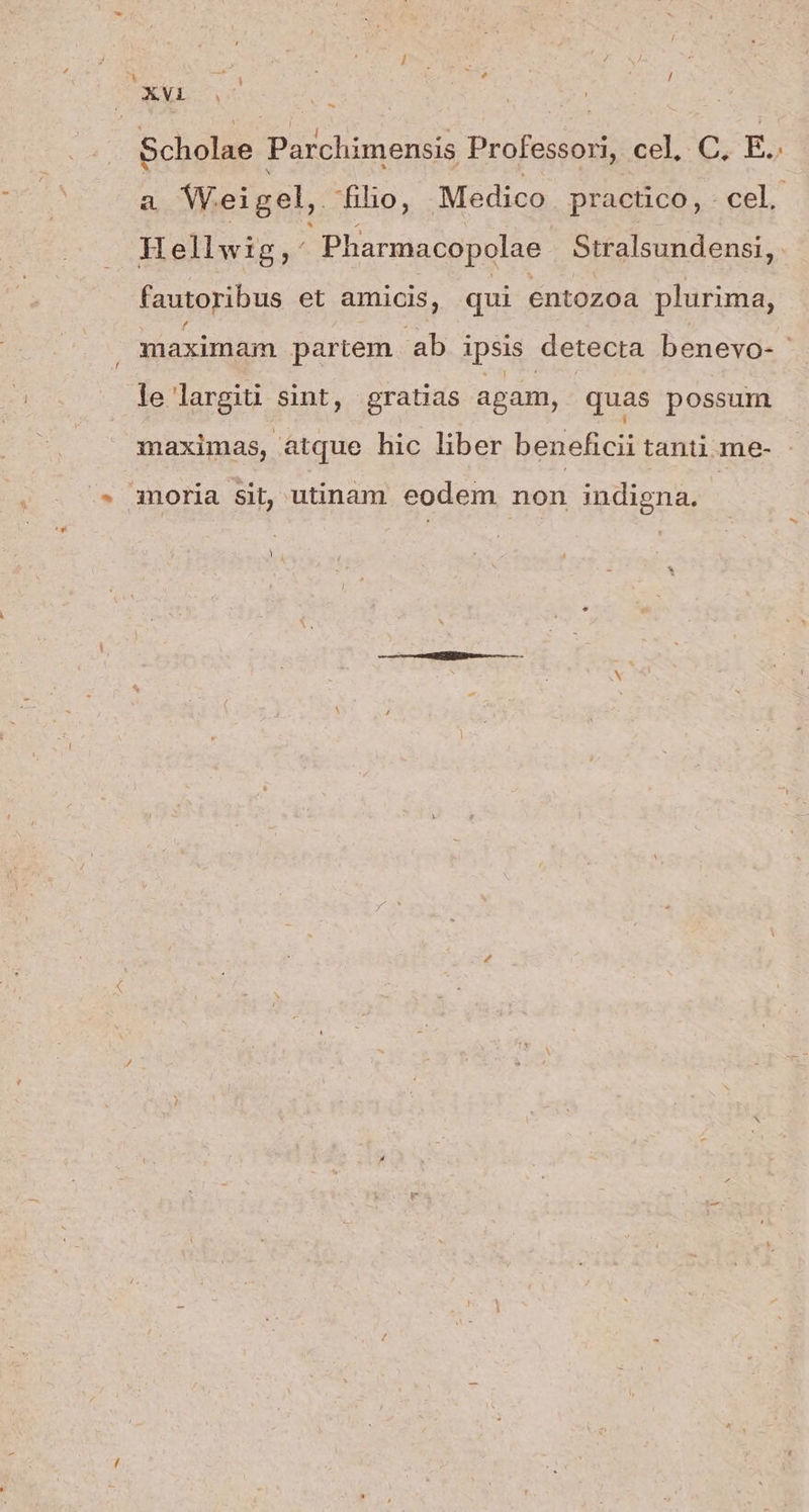 1 e ; : e / XVi Scholae Parchimensis Professori, cel, C, E.. a Weigel, filio, Medico practico, - cel. Hellwig, 2 Pharmacopolae Stralsundensi,. fautoribus et amicis, qui entozoa plurima, maximam partem ab ipsis detecta benevo- le largiu sint, gratias agam, quas possum maximas, atque hic liber beneficii tanti me- 3moria sit, utinam eodem non indigna. |