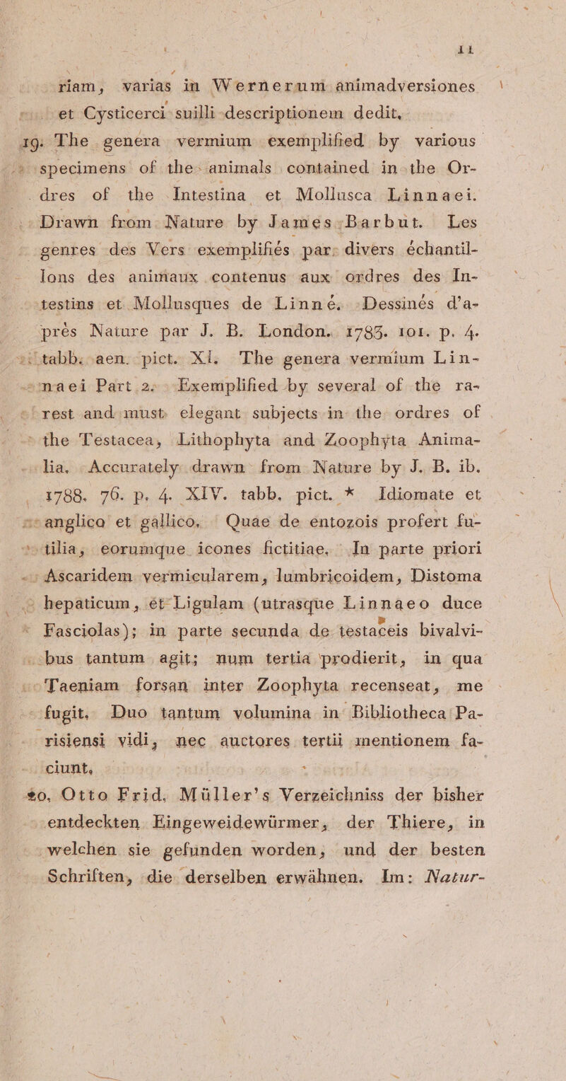 riam ; varias in Wernerum. animadversiones et Cysticerci suilli descriptionem dedit, 19. The genera vermium exemplifed by various £s specimens of the- animals contained. in the Or- .dres of the Intestina. et Mollusca Linnaei. Drawn from. Nature by James:.Barbut. Les genres des Vers exemplifiés. par: divers échantil- lons des animaux contenus aux ordres des In- iestins et Mollusques de Linné. Dessinés d'a- prés Nature par J. B. London. 1783. 101. p. 4. sitabb. aen. pict. Xl. 'The genera vermium Lin- ^maei Part 2. .Exemplified by several of the ra- -yest and must elegant subjects in. the. ordres of he Testacea, Lithophyta and Zoophyta Anima- -^ lia. .Accurately drawn: from. Nature by J. B. ib. 1788. 70. p. 4. XIV. tabb. pict. * Idiomate et ^-anglico et gallico. ^ Quae de entozois profert fu- ^dilia, eorumque. icones fictitiae, In parte priori -sAscaridem vermicularem, lumbricoidem, Distoma . . hepaticum, ét Ligulam (utrasque Linnaeo duce Fasciolas); in parte secunda de testaceis bivalvi- —bus tantum agit; num tertia prodierit, in qua -c'Taeniam forsan inter Zoophyta recenseat, me fugit. Duo tantum volumina in Bibliotheca Pa- risiensi vidi, mec auctores terti inentionem fa- ciunt, : | $0. Otto Frid. Müller's Verzeichniss der bisher .entdeckten. Eingeweidewürmer, der 'Thiere, in welchen sie gefunden worden, und der besten Schriften, die. derselben erwáhnen. lm: ANatur-