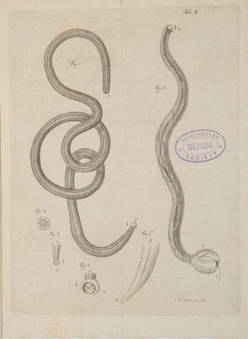 am RT » RN ! d ll qm (iiit UM i ii adi if am FE. que à ; Eos (ss A CS RS / RTI z / EXT d m S: SR : [ul XE S cii s BE se Wd pm. 1 X. CELL 07s en SA With cp NES : Vim E: ENS 2 idih NS. d (lili Sy (il m 2, j| 2 : 2 We. N 2») jn dL 2 IMMIH 308. dist 3 : ipf