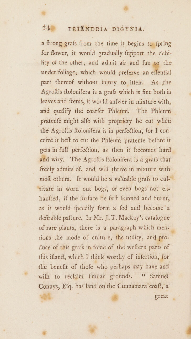 * 24% TRIRNDRIA DIGYNIA. a {trong grafs from the time it begins to fpring for flower, it would gradually fupport the debi- hty of the other, and admit air and fun te the under-foliage, which would preferve an =... part thereof without injury to itfelf. As the Agroftis ftolonifera is a grafs which is fine both in leaves and ftems, it would anfwer in mixture with, and qualify the coarfer Phleom. The Phleum pratenfe might alfo with propriety be cut when ‘the Agroftis ftolonifera is in perfe&amp;ion, for I con- ceive it beft to cut the Phleum pratenfe before it getsin full perfe€tion, as then it becomes hard and wiry. The Agroftis ftolonifera is a grafs that freely. admits of, and will thrive in mixture with moft others. It would be a valuable grafs to cul- ‘tivate in worn out bogs, or even bogs not ex- haufted, if the furface be firft {kinned and burnt, as it would {peedily form a fod and become a defirable pafture. In Mr. J. T. Mackay’s catalogue of rare plants, there is a paragraph which men= tions the mode of culture, the utility, and pro- duce of this grafs in fome of the weflern parts of this ifland, which I think worthy of infertion, for the benefit of thofe who perhaps may have and wifh to reclaim fimilar grounds. ‘ Samuel Connys, Efq. has land on the Cunnamara ‘coaft, a