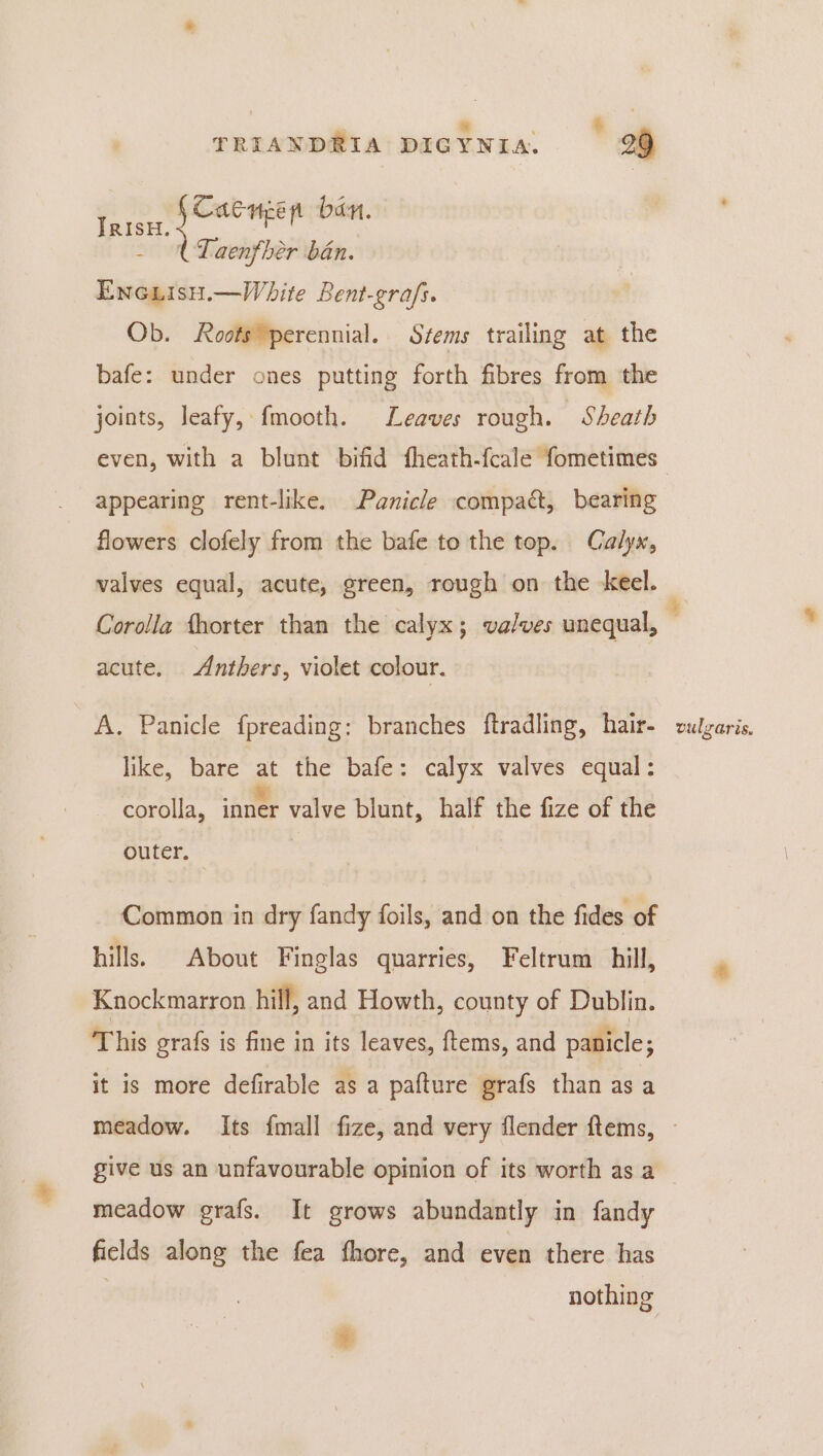 &amp; es TRIANDRIA DIGYNIA. 29 TRISH. acre ban. (TLaenfher ban. Encuisu.—White Bent-grafs. Ob. Roots perennial. Stems trailing at the bafe: under ones putting forth fibres from the joints, leafy, fmooth. Leaves rough. Sheath appearing rent-like. Panicle compact, bearing flowers clofely from the bafe to the top. Calyx, valves equal, acute, green, rough on the keel. acute. Anthers, violet colour. A. Panicle fpreading: branches ftradling, hair- like, bare at the bafe: calyx valves equal: corolla, ianer valve blunt, half the fize of the outer. Common in dry fandy foils, and on the fides of hills. About Finglas quarries, Feltrum hill, Knockmarron hill, and Howth, county of Dublin. This grafs is fine in its leaves, ftems, and panicle; it is more defirable as a pafture grafs than as a vulgaris. give us an unfavourable opinion of its worth as a meadow grafs. It grows abundantly in fandy fields along the fea fhore, and even there has nothing
