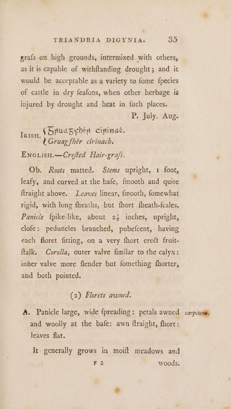 grafs on high grounds, intermixed with others, as it is capable of withftanding drought; and it would be acceptable as a variety to fome fpecies of cattle in dry feafons, when other herbage is injured by drought and heat in fuch places. -P. July. Aug. aoue Spuasyrben ciptinad. ’ Gruag fhér cirinach. EnecuisH.—Crefted Hair-gra/s. Ob. Roots matted. Stems upright, 1 foot, leafy, and curved at the bafe, {mooth and quite ftraight above. Leaves linear, fmooth, fomewhat rigid, with long fheaths, but fhort fheath-fcales. clofe: peduncles branched, pubefcent, having each floret fitting, on a very fhort ereét fruit- ftalk. Corolla, outer valve fimilar to the calyx: inher valve more flender but fomething fhorter, and both pointed. (2) Florets awned. A. Panicle large, wide {preading: petals awned and woolly at the bafe: awn ftraight, fhort : leaves flat. It. generally grows in moift meadows and carspitosé.