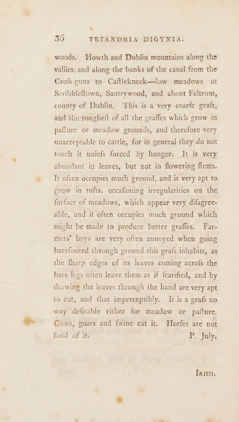 we. @ woods. Howth and Dublin mountains along the vallies, and along the banks of the canal from the Crofs-euns to Caftleknock—low meadows at Scribbleftown, Santrywood, and about Feltrum, county of Dublin. ‘This is a very coarfe grafs, and the rougheft of all the graffes which grow in pafiure or meadow grounds, and therefore very unacceptable to cattle, for in genera] they do not touch it unlefs forced by hunger. It is very abundant in leaves, but not in flowering ftems. Tt often occupies much ground, and is very apt to grow in tufts, occafioning irregularities on the furface of meadows, which appear very difagree- able, and it often occupies much ground which might be made to produce better grafles. Far- mers’ boys are very often annoyed when going barefooted through ground this grafs inhabits, as the fharp edges of its leaves coming acrofs the bare legs often leave them as if fcarified, and by drawing the leaves through the hand are very apt to cut, and that imperceptibly. It is a grafs no way defirable either for meadow or paiture. Cows, goats and fwine eat it. Horfes are not forid of it. P. July. TRise.