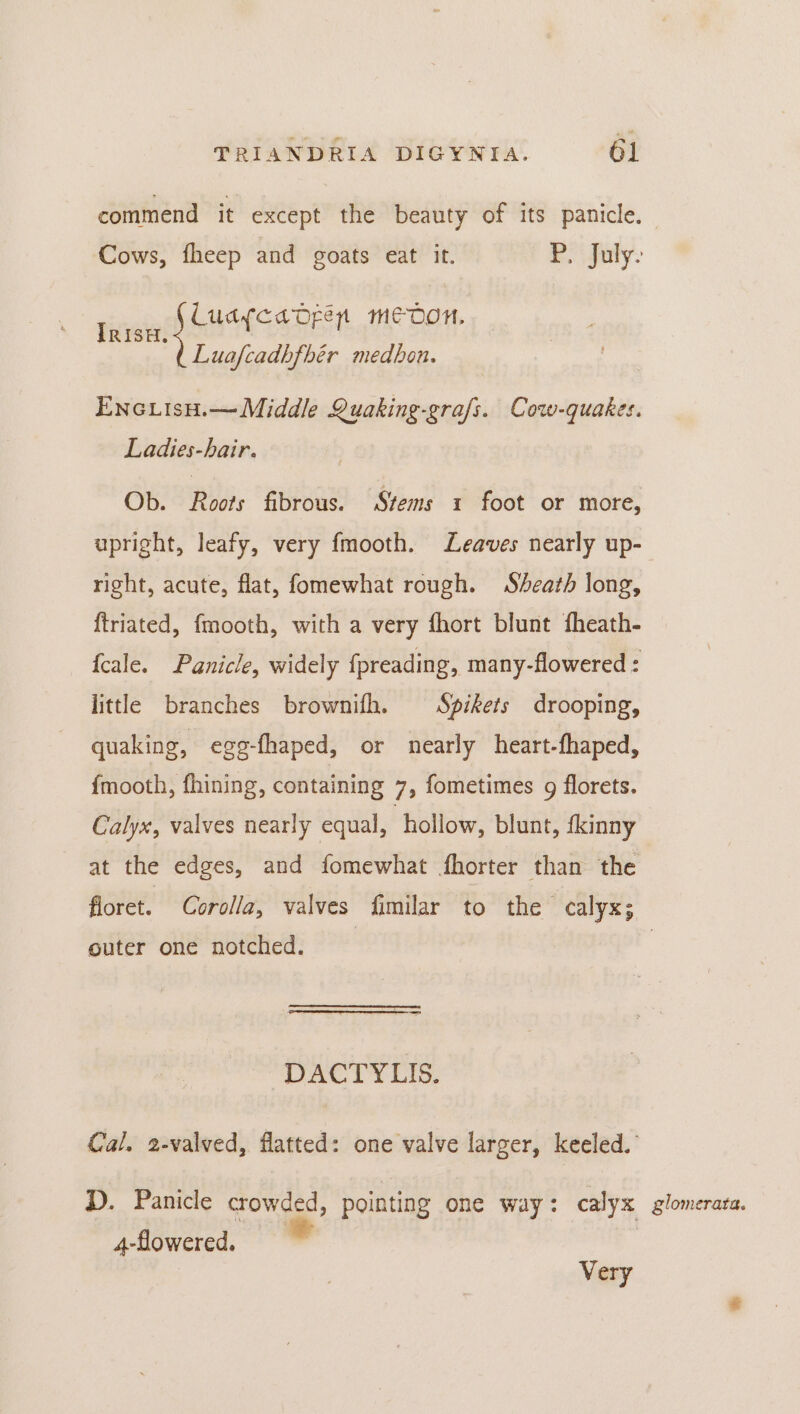 commend it except the beauty of its panicle. Cows, fheep and goats eat it. as faly- tivais fausnstiest MEDON. Luafcadhfhér medbon. ENc.LisH.— Middle Quaking-grafs. Cow-quakes. Ladies-hair. Ob. Roots fibrous. Stems 1 foot or more, upright, leafy, very fmooth. Leaves nearly up- right, acute, flat, fomewhat rough. Sheath long, {triated, fmooth, with a very fhort blunt fheath- fcale. Panicle, widely fpreading, many-flowered : little branches brownifh. Spikets drooping, quaking, egg-fhaped, or nearly heart-fhaped, fmooth, fhining, containing 7, fometimes g florets. Calyx, valves nearly equal, | hollow, blunt, fkinny at the edges, and fomewhat fhorter than the floret. Corolla, valves fimilar to the calyx; outer one notched. ‘DACTYLIS. Cal. 2-valved, flatted: one valve larger, keeled.’ D. Panicle crowded, pointing one way: calyx glomerara. 4-flowered. | Very