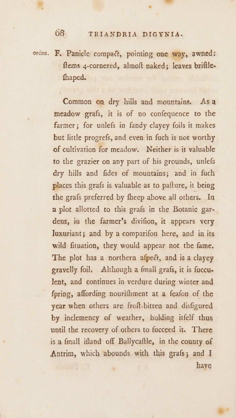 {tems 4-cornered, almoft naked; leaves briftle- fhaped. Common on dry hills and mountains. Asa meadow grafs, it is of no confequence to the farmer; for unlefs in fandy clayey foils it makes but little progrefs, and even in fuch is not worthy of cultivation for meadow. Neither is it valuable to the grazier on any part of his grounds, unlefs dry hills and fides of mountains; and in fuch places this grafs is valuable as to pafture, it being the grafs preferred by fheep above all others. In a plot allotted to this grafs in the Botanic gar- Juxuriant; and by a comparifon here, and in its wild fituation, they would appear not the fame. The plot has a northern afpeét, and is a clayey gravelly foil, Although a fmall grafs, it is fuccu- lent, and continues in verdure during winter and fpring, affording nourifhment at a feafon of the year when others are froft-bitten and disfigured by inclemency of weather, holding itfelf thus until the recovery of others to fucceed it. There is a fmall ifland off Ballycaftle, in the county of Antrim, which abounds with this grafs; and I | have